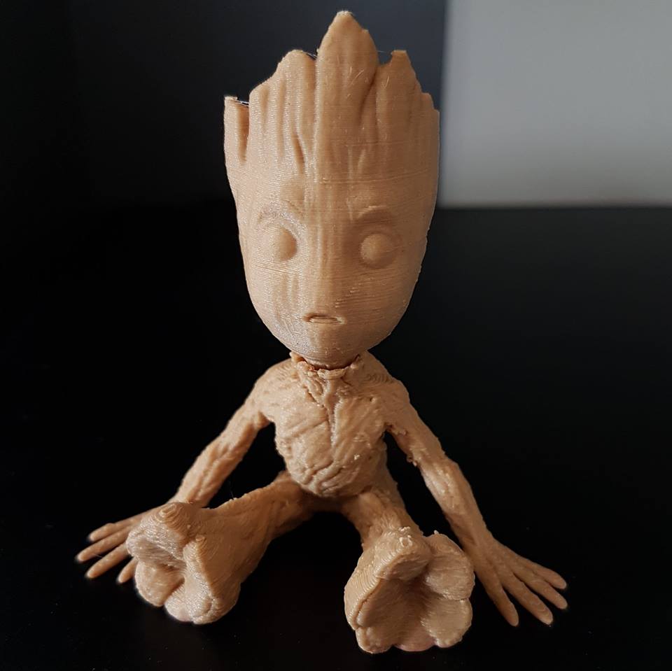 Cuibs_RF3D