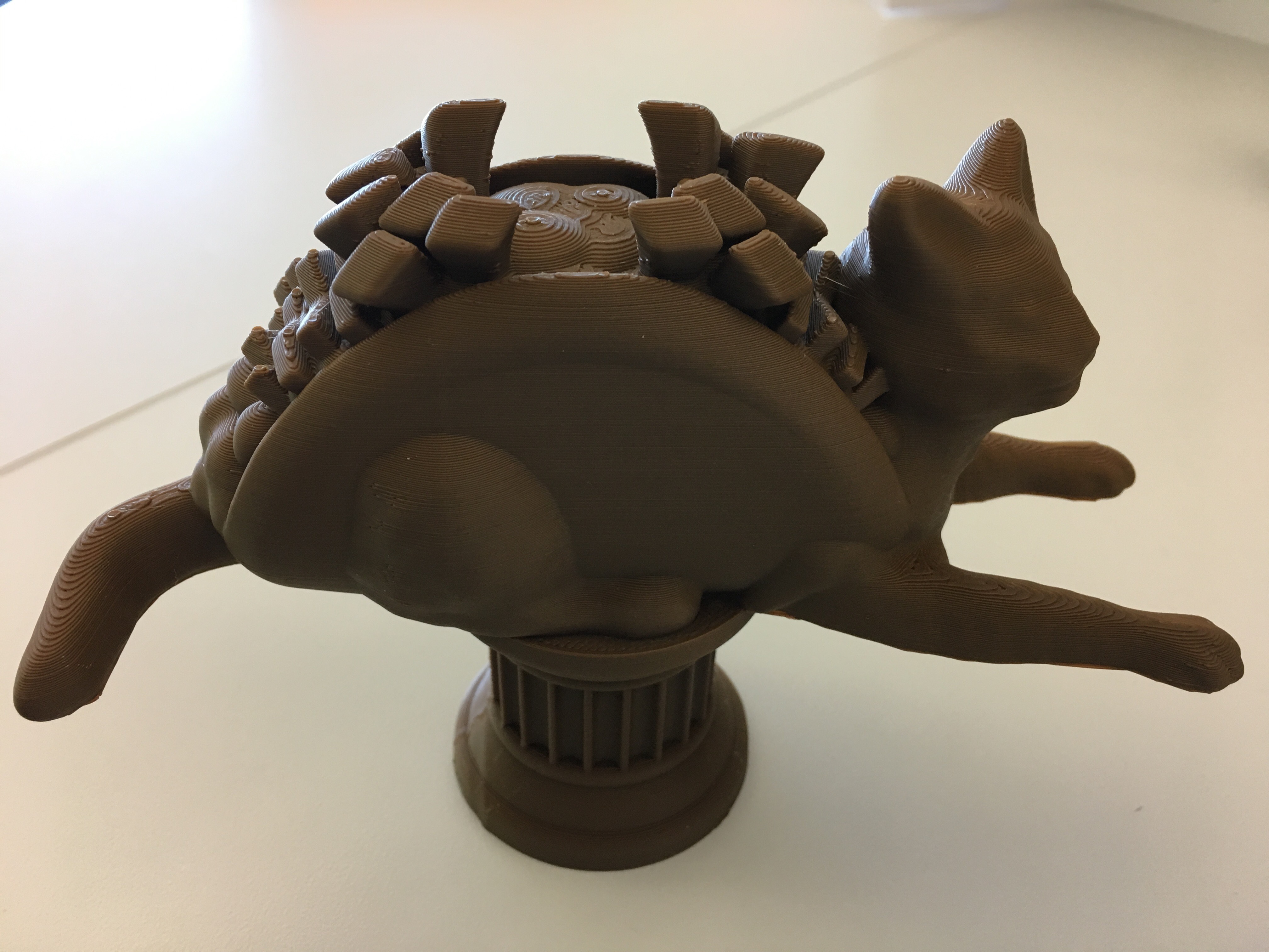 Taco Cat Trophy