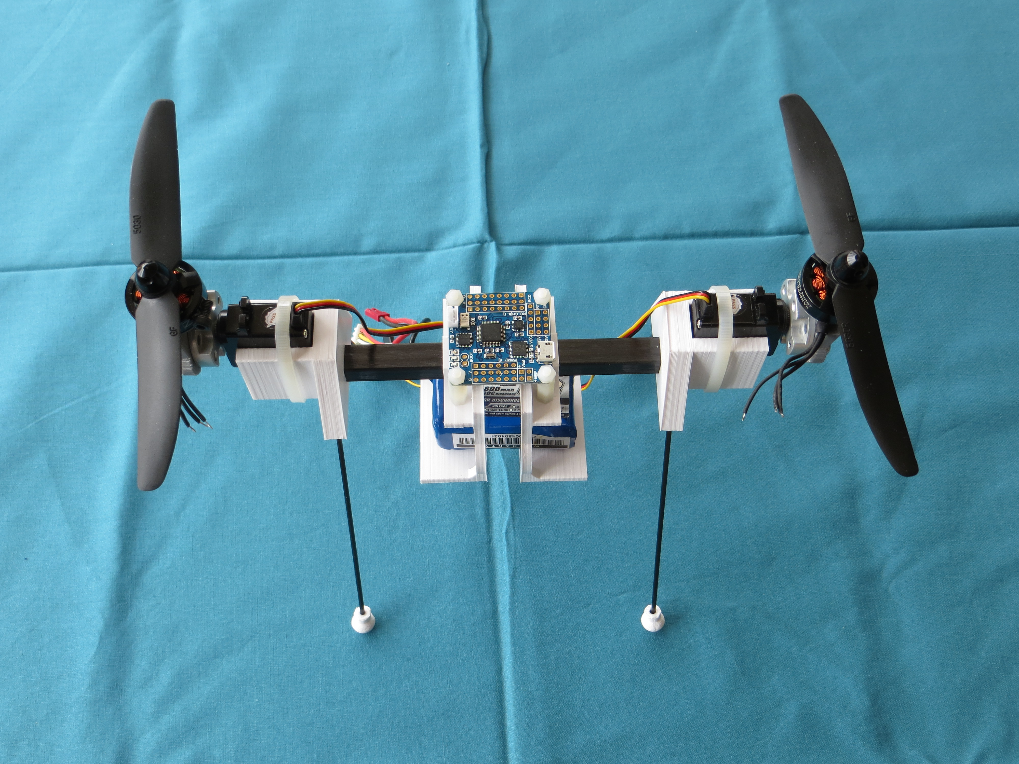 BiCopter