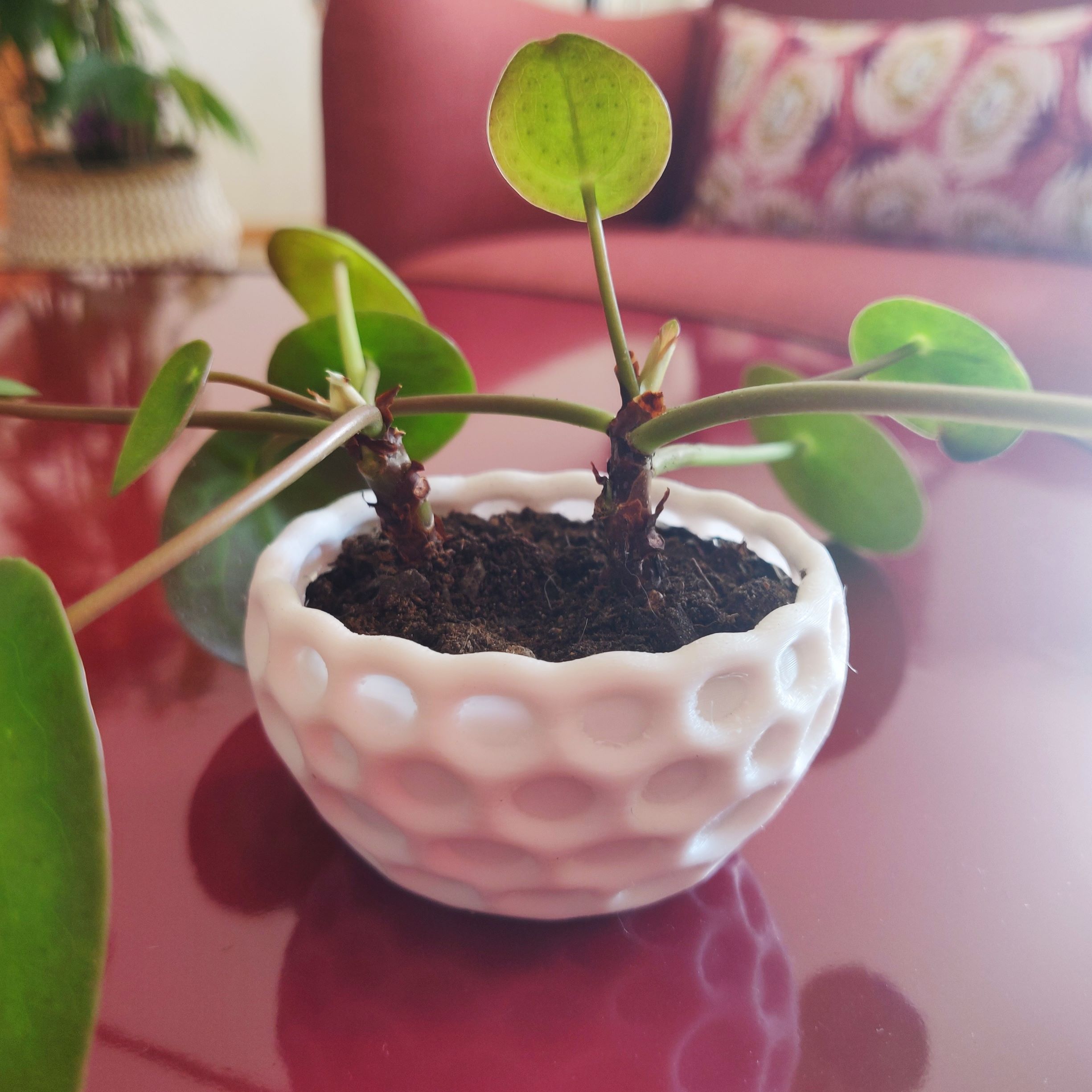 Smoothed Voronoï Planter Mini