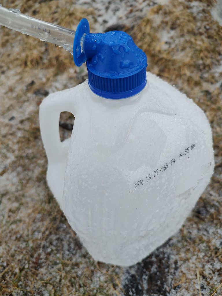 Maple sap collection cap for gallon milk jug