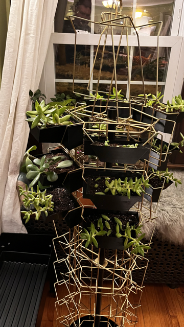 Postcard Rack Planter
