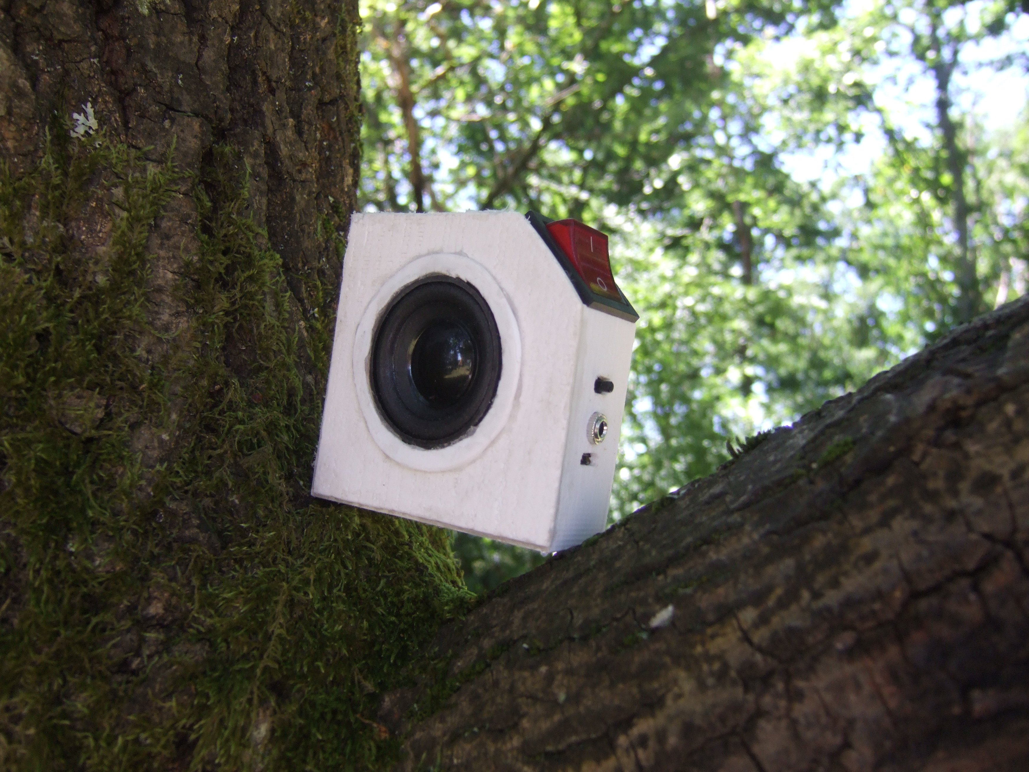 Bluetooth Speaker DIY