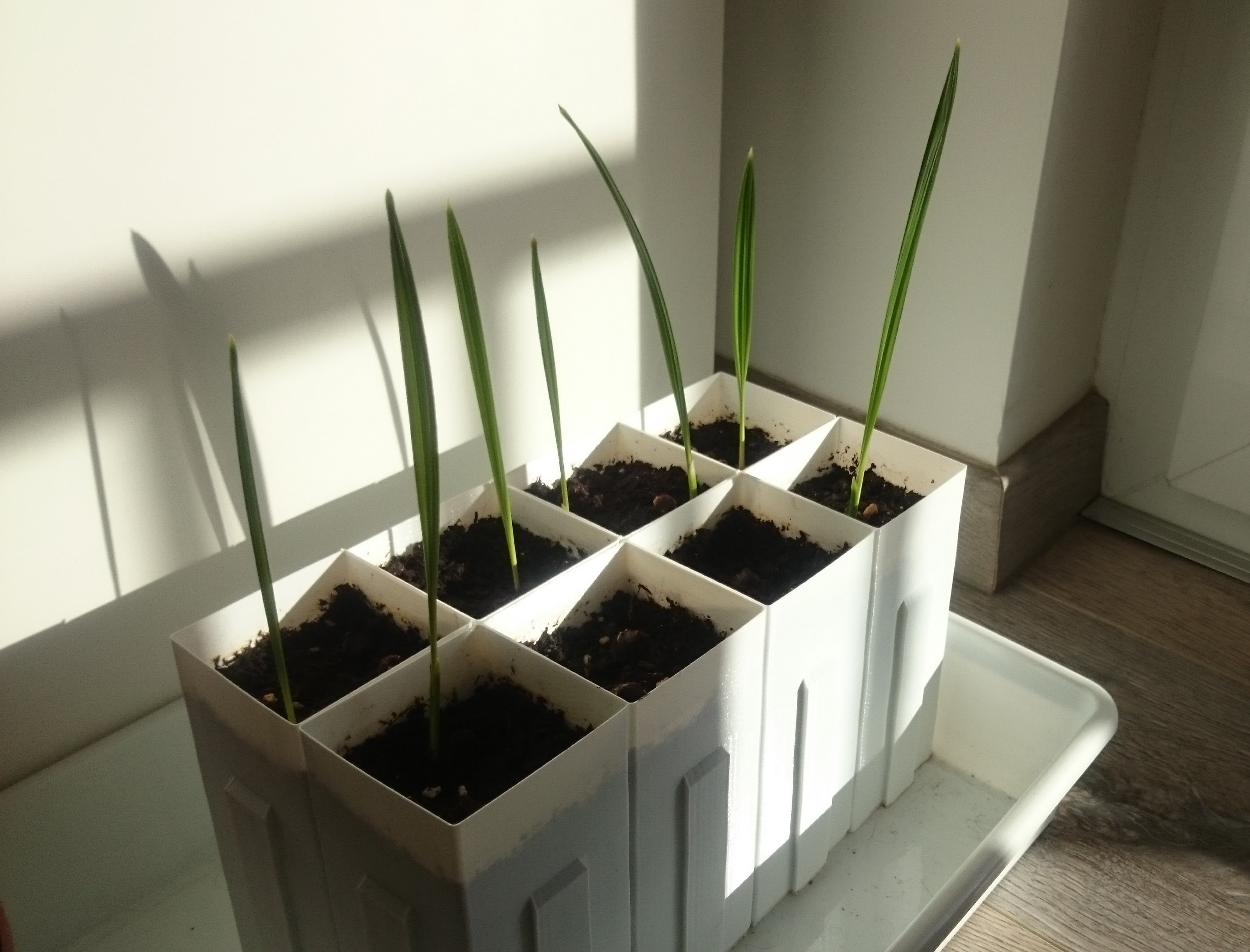 Stack-able seed planting pot