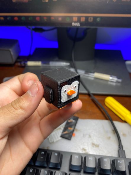 Penguin Cube