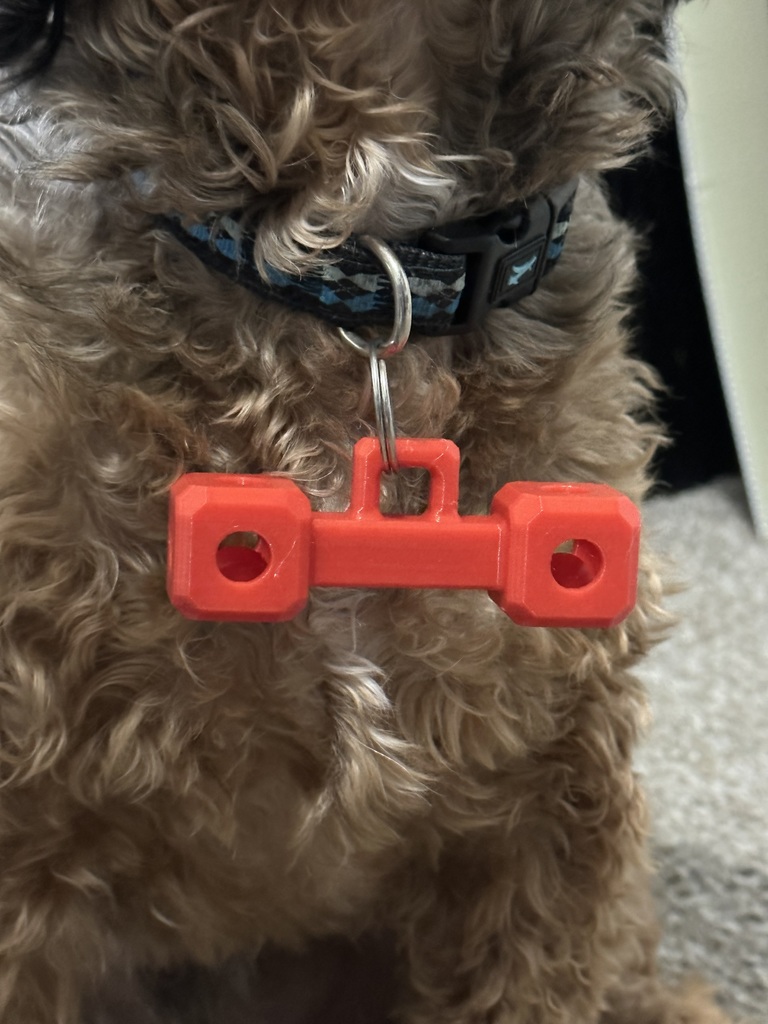 Dog ID Tag - With Rattles on sides - Customizable Fusion 360