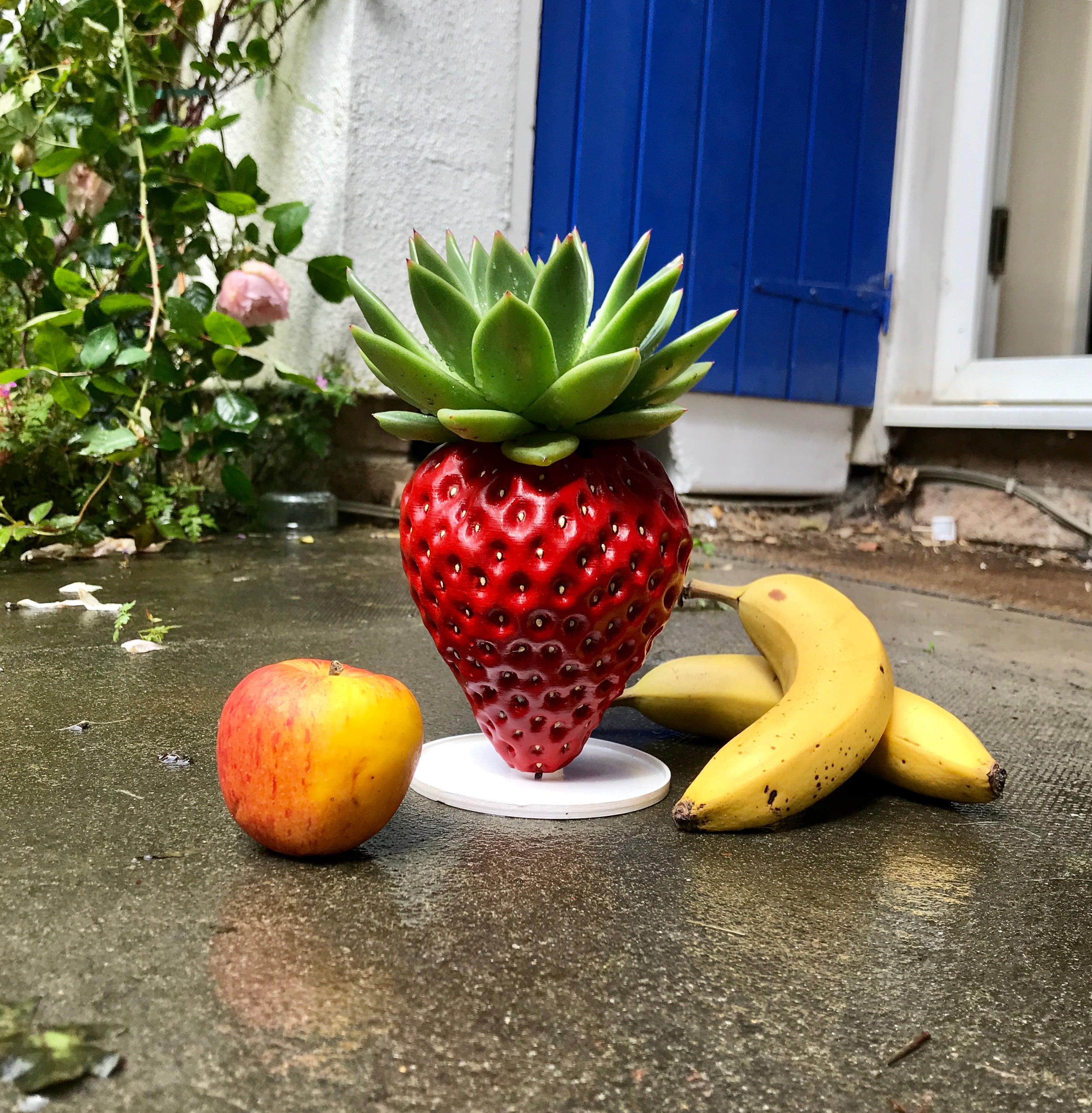 Realistic strawberry planter plant pot