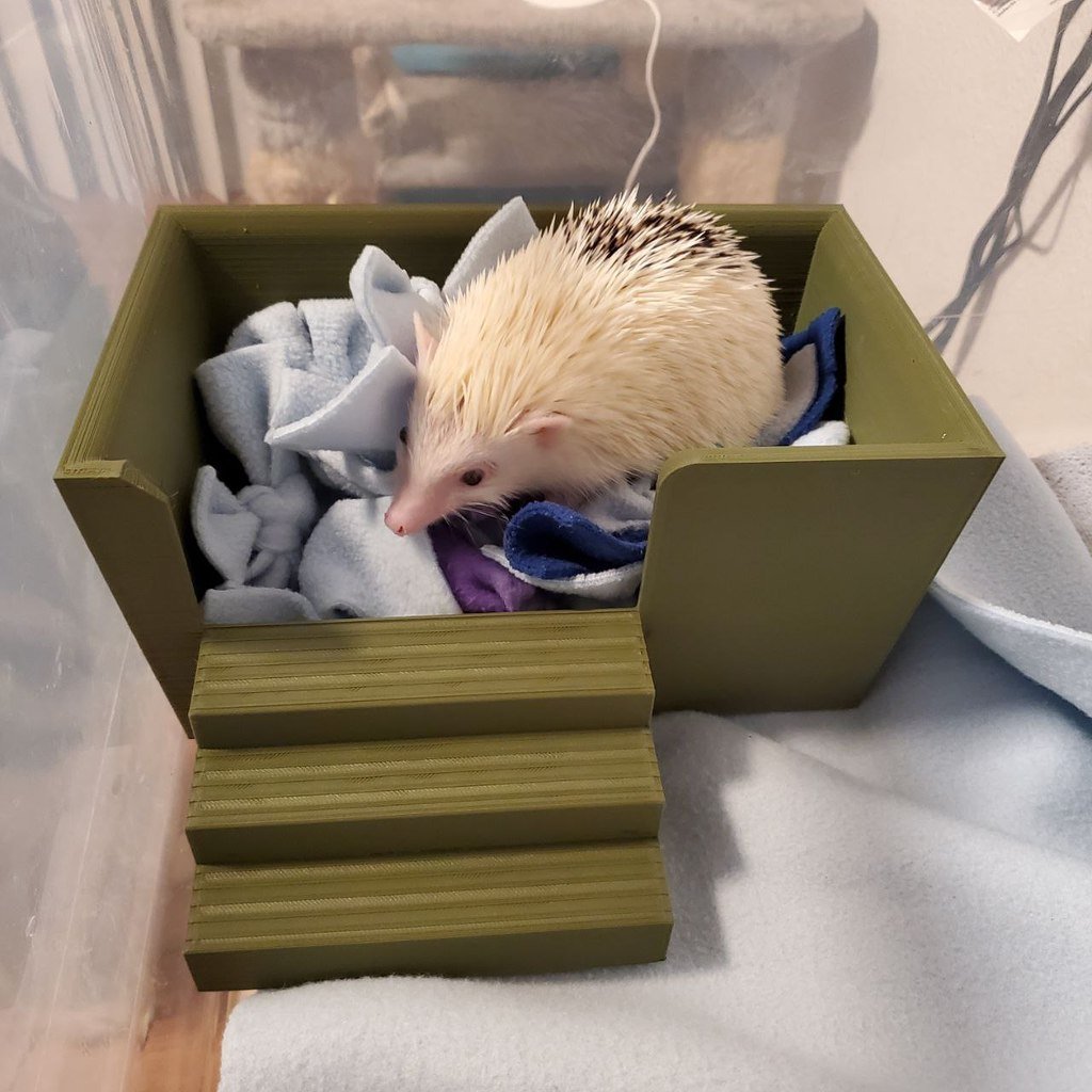 Hedgehog sleep/dig box