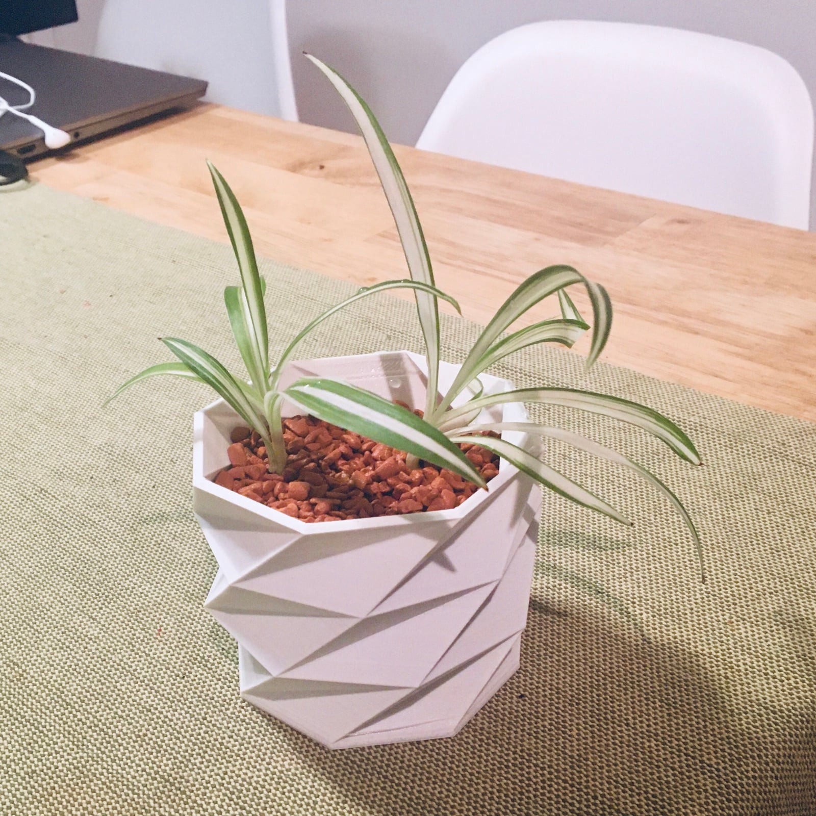Low poly flower pot