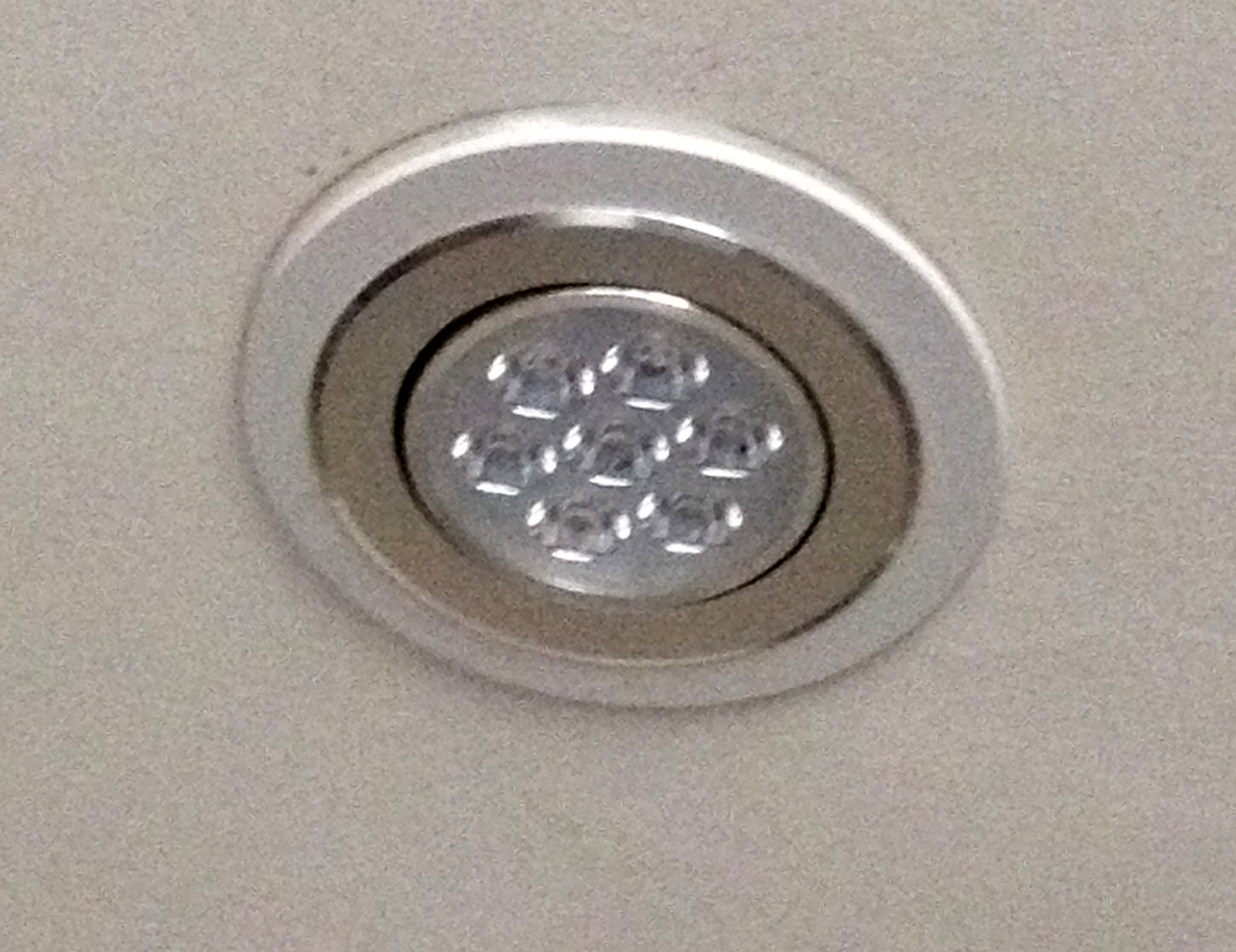 Ceiling Light Rose