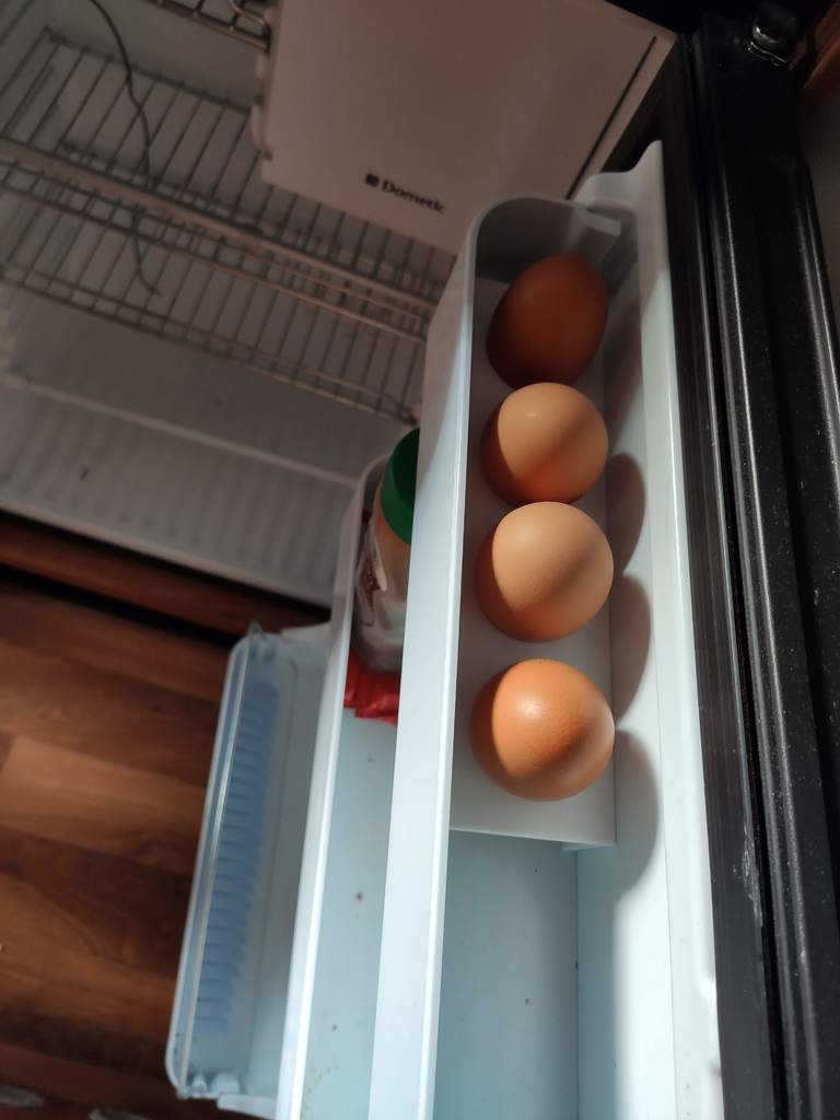 Pössl dometic fridge egg holder