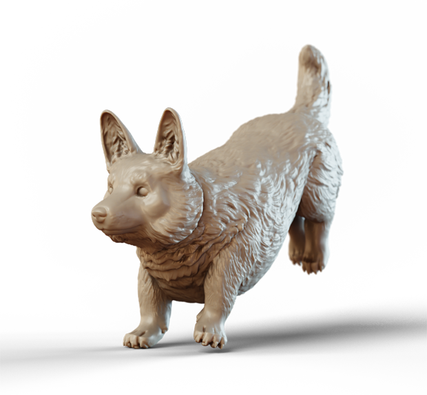 Corgi - leaping v2