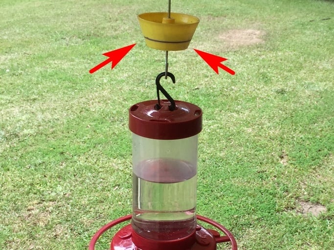 Ant Moat for Hummingbird Feeders (remix)