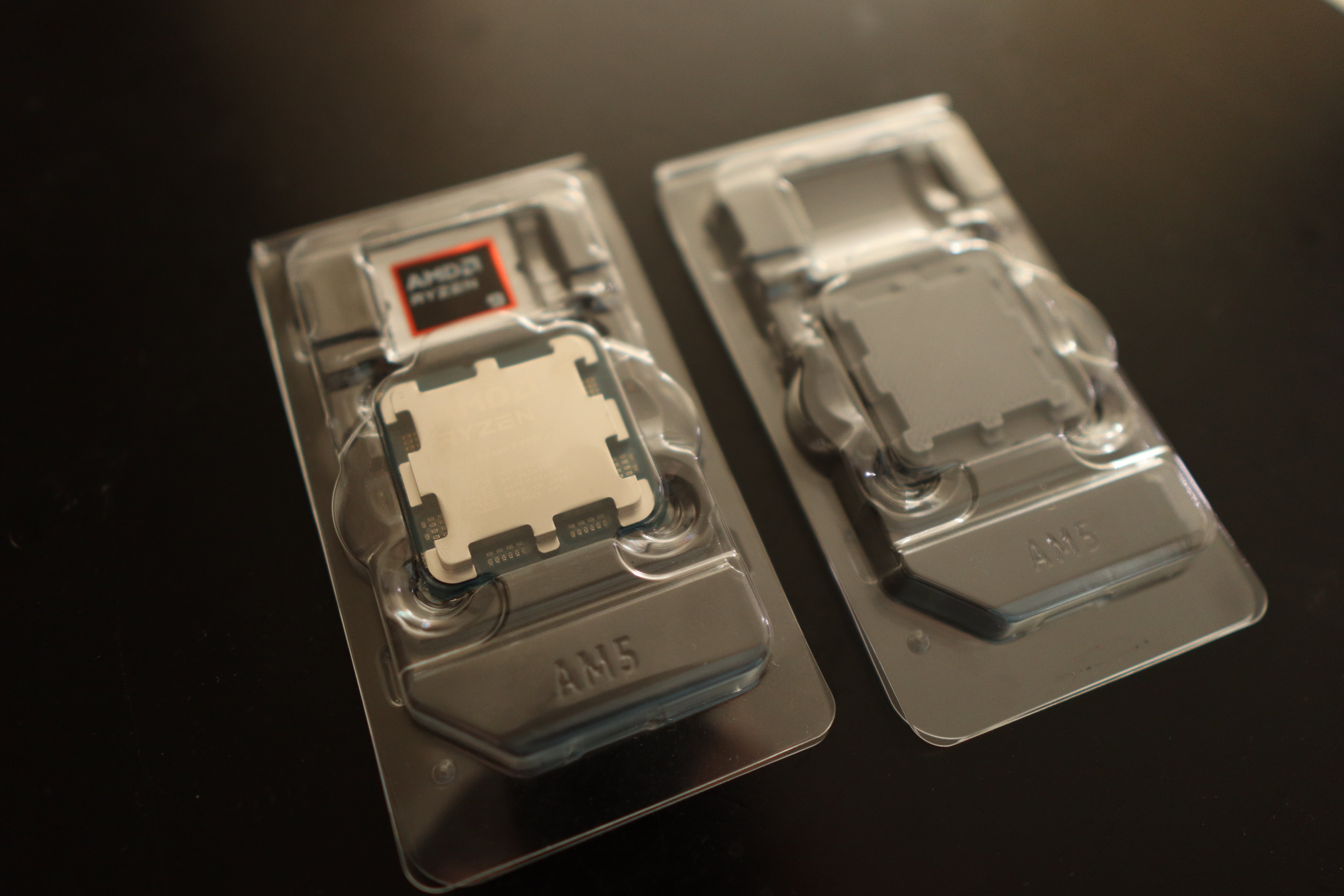 AM5 Dummy CPU (With Ryzen 9 9900x alternate model)
