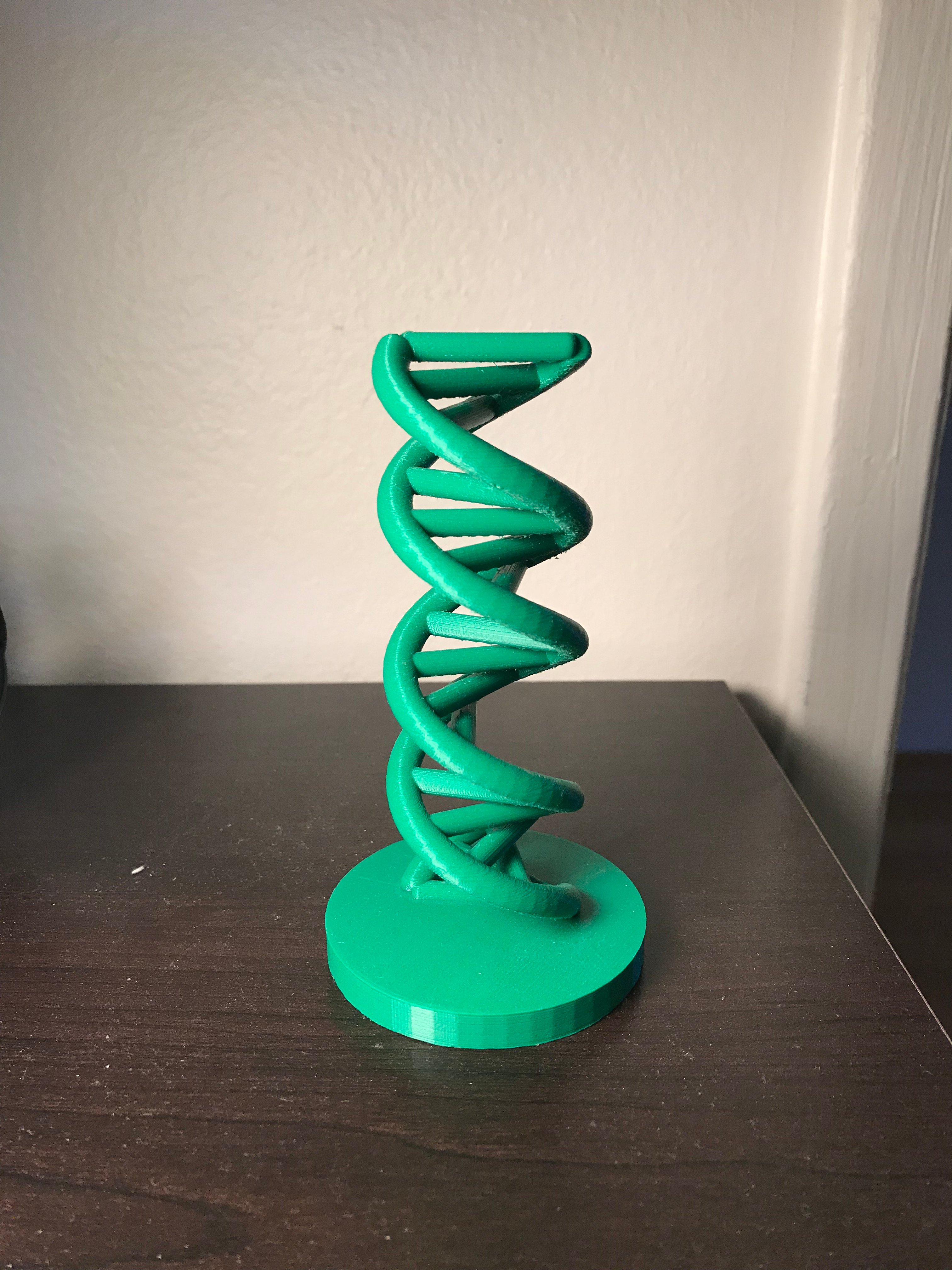 DNA Scale Model