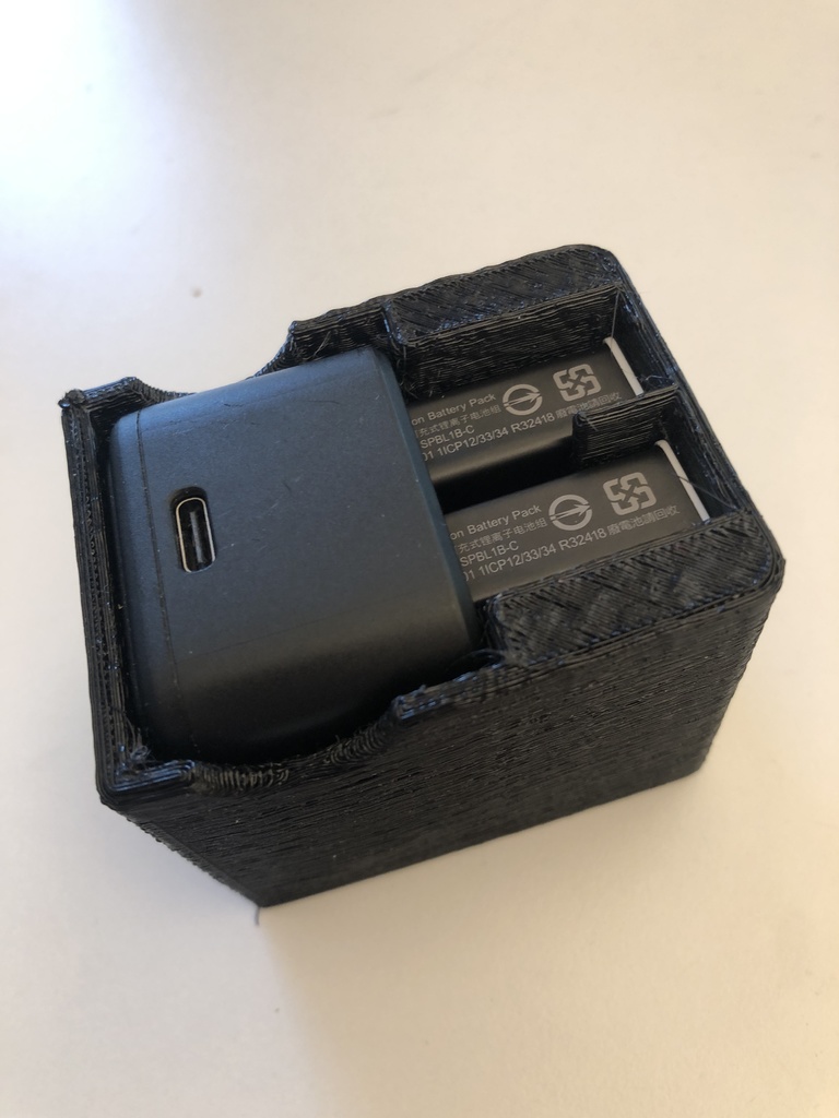GoPro dual charger case