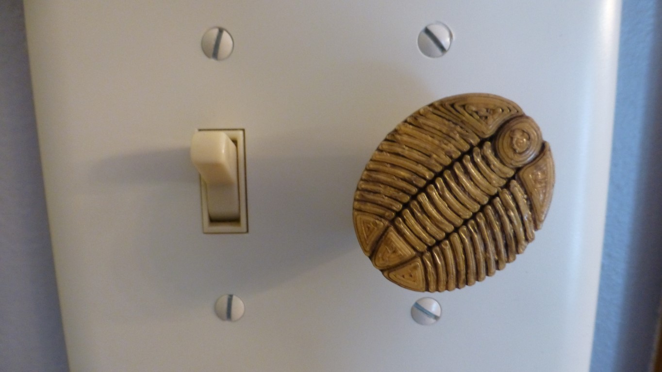 Trilobite dimmer knob