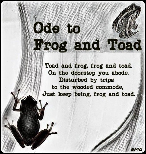 Ode to Frog and Toad
