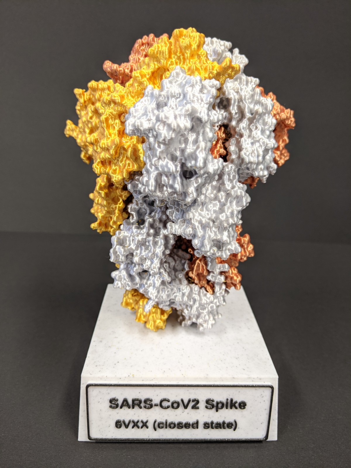 SARS-CoV-2 spike protein 6VXX