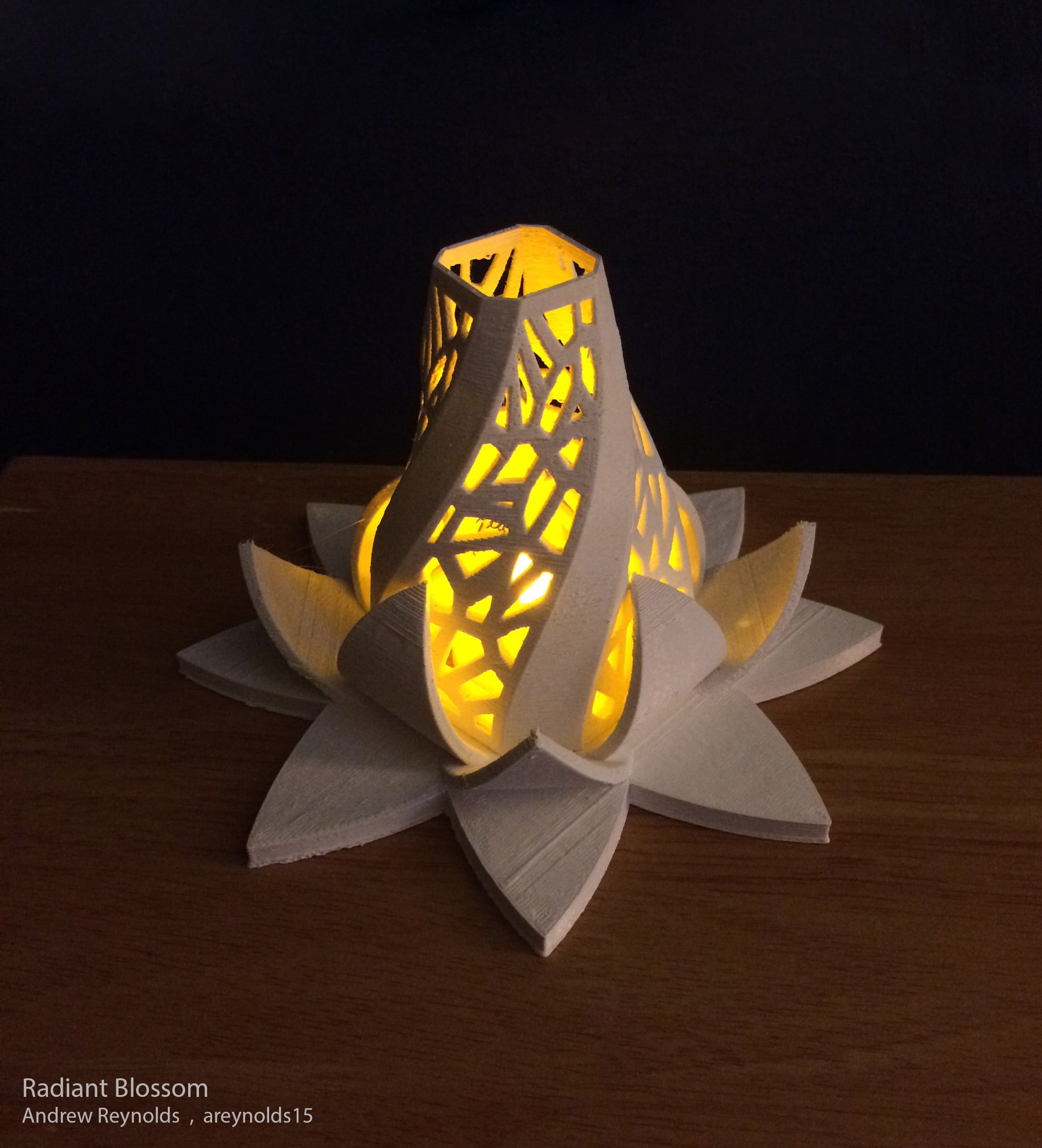 Radiant Blossom