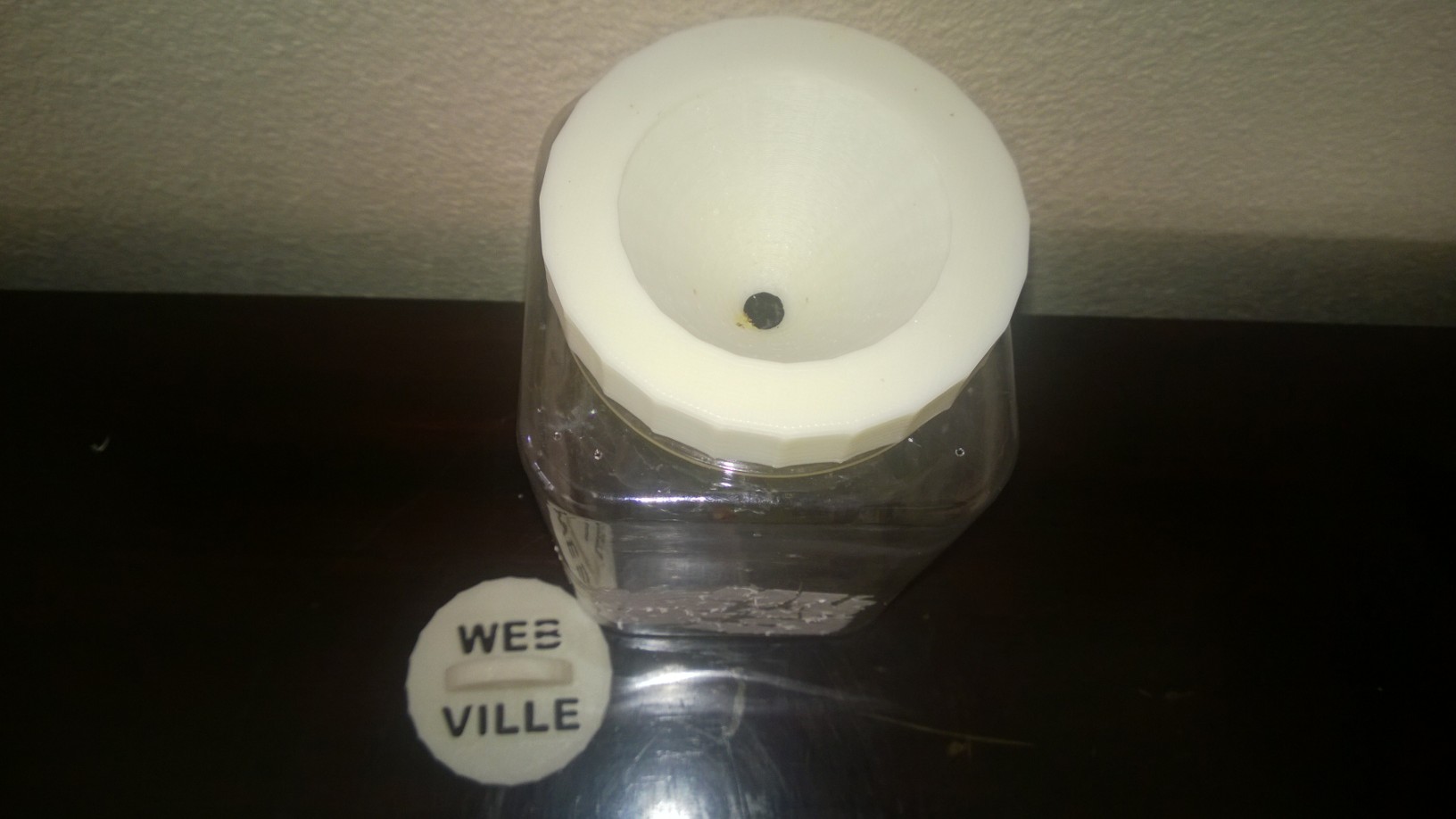 Spider Habitat Fly Trap