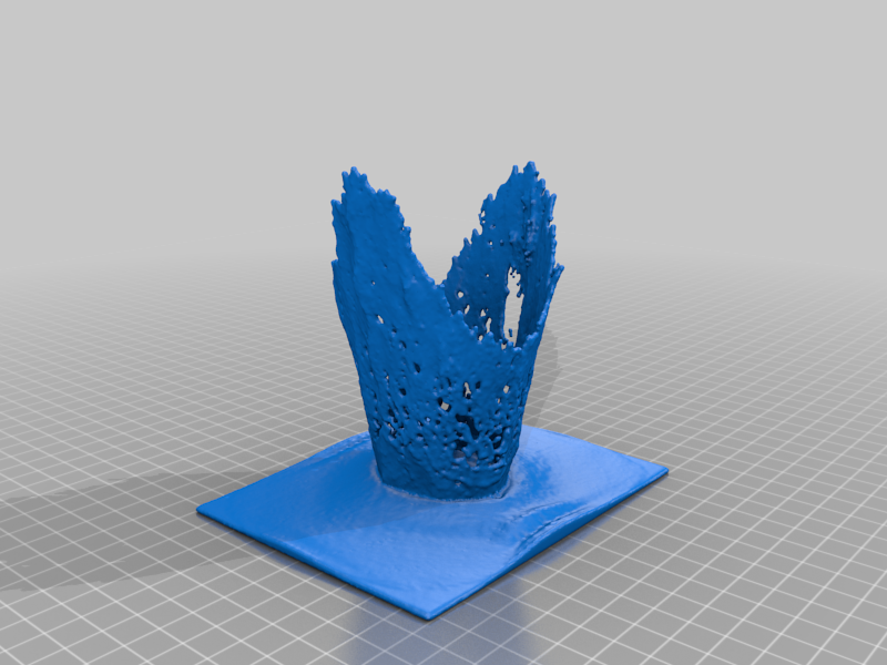 Water Splash
