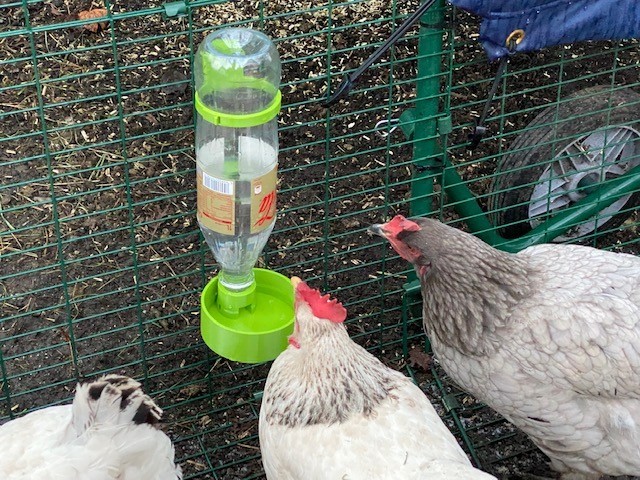 Chicken Water Dispenser with Thread for PET Bottles