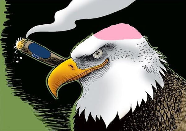 Bald_Eagle