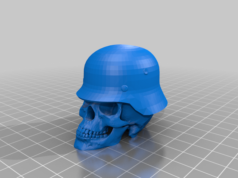 Skull W/ M40 German Helmet