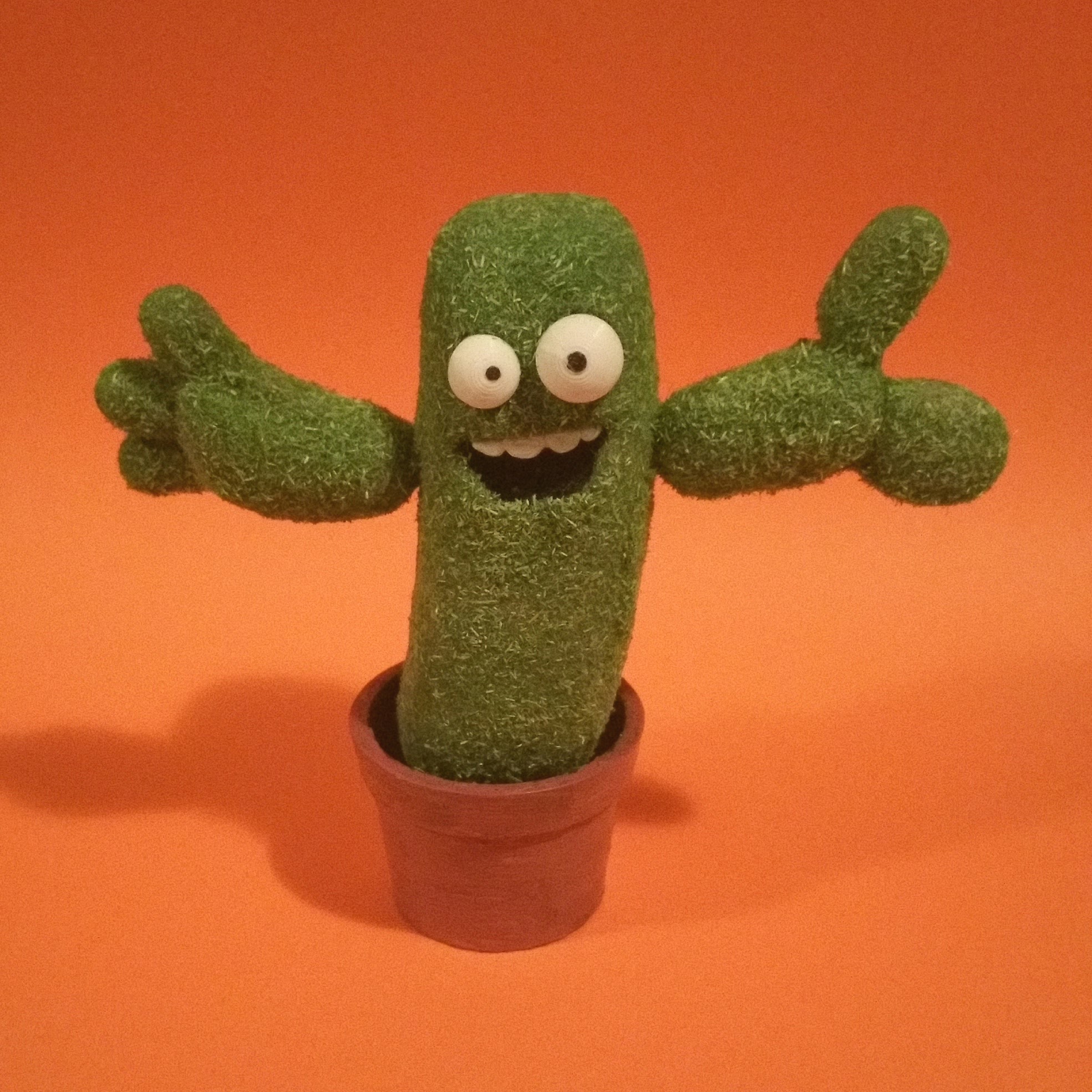The "Hug Me" Cactus