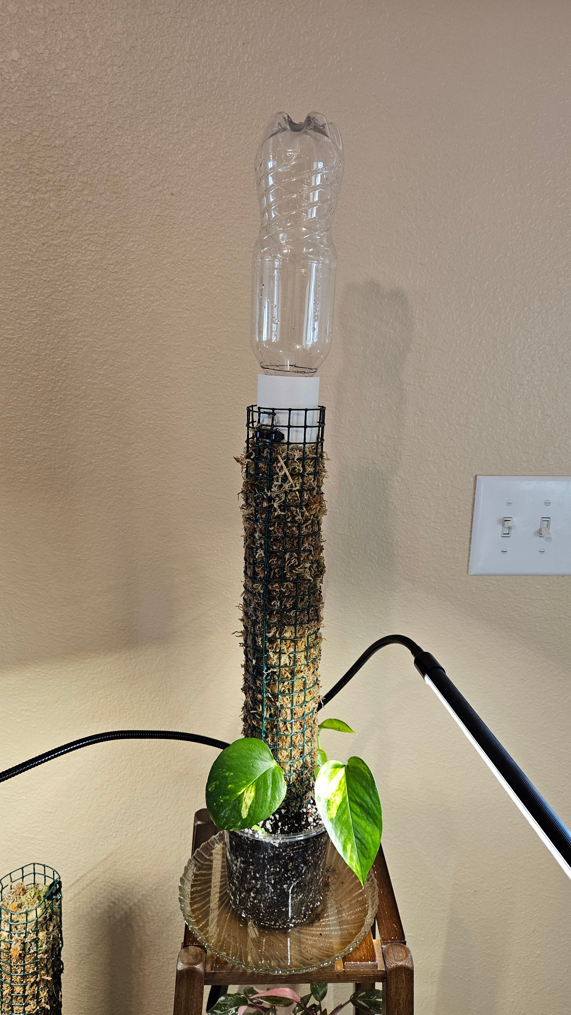 Moss Pole Drip Water System