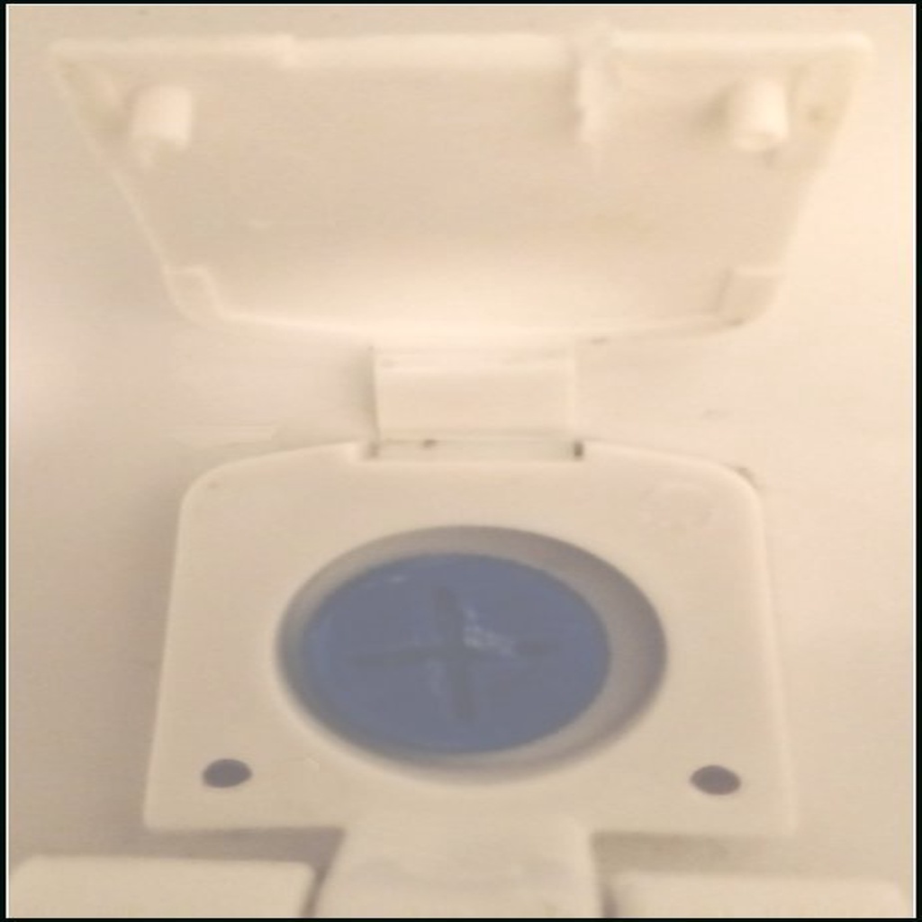 Toilet Seat Screw - Recessed Type