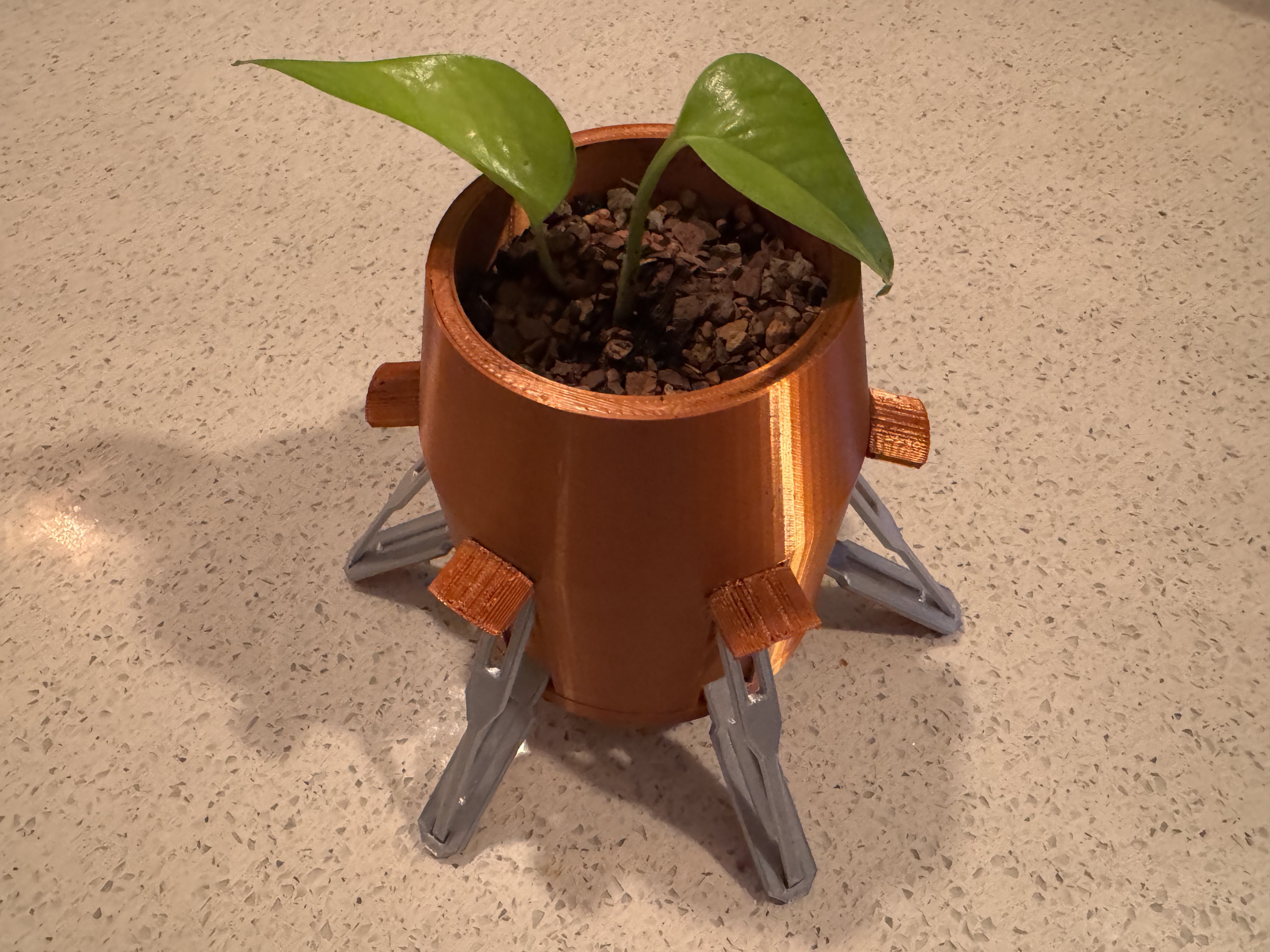 New Glenn Planter