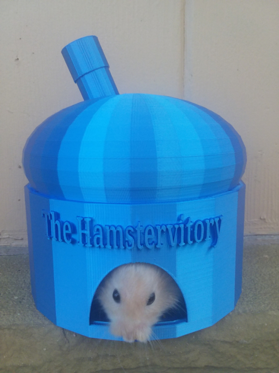 The Hamstervitory