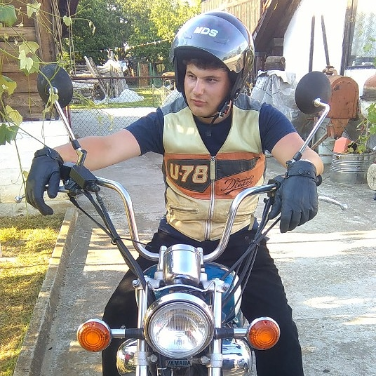 Elvis73