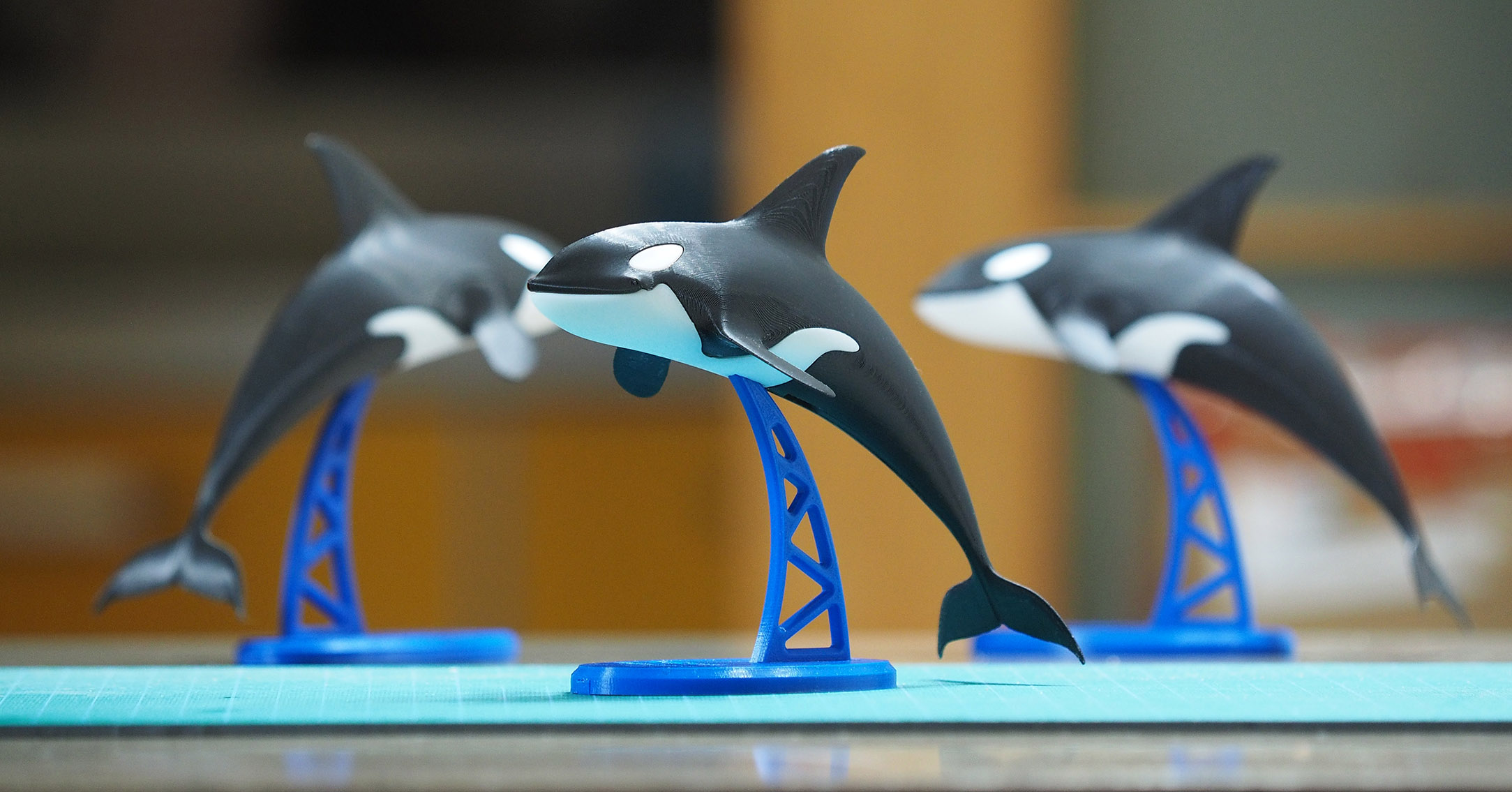 Orca