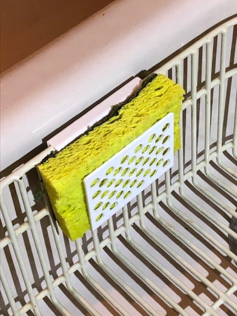 Sponge Holder