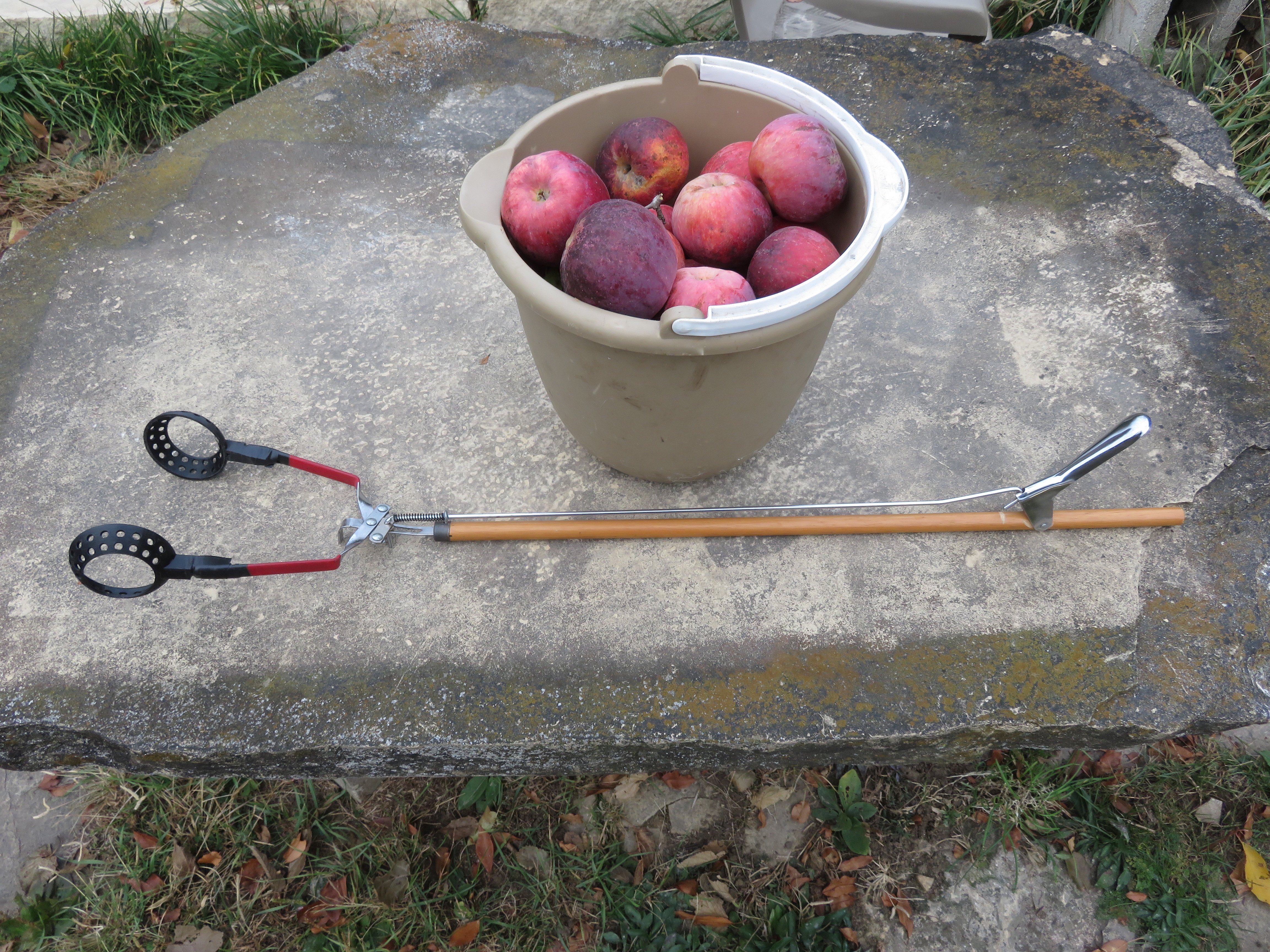 Apple Picker for Reacher