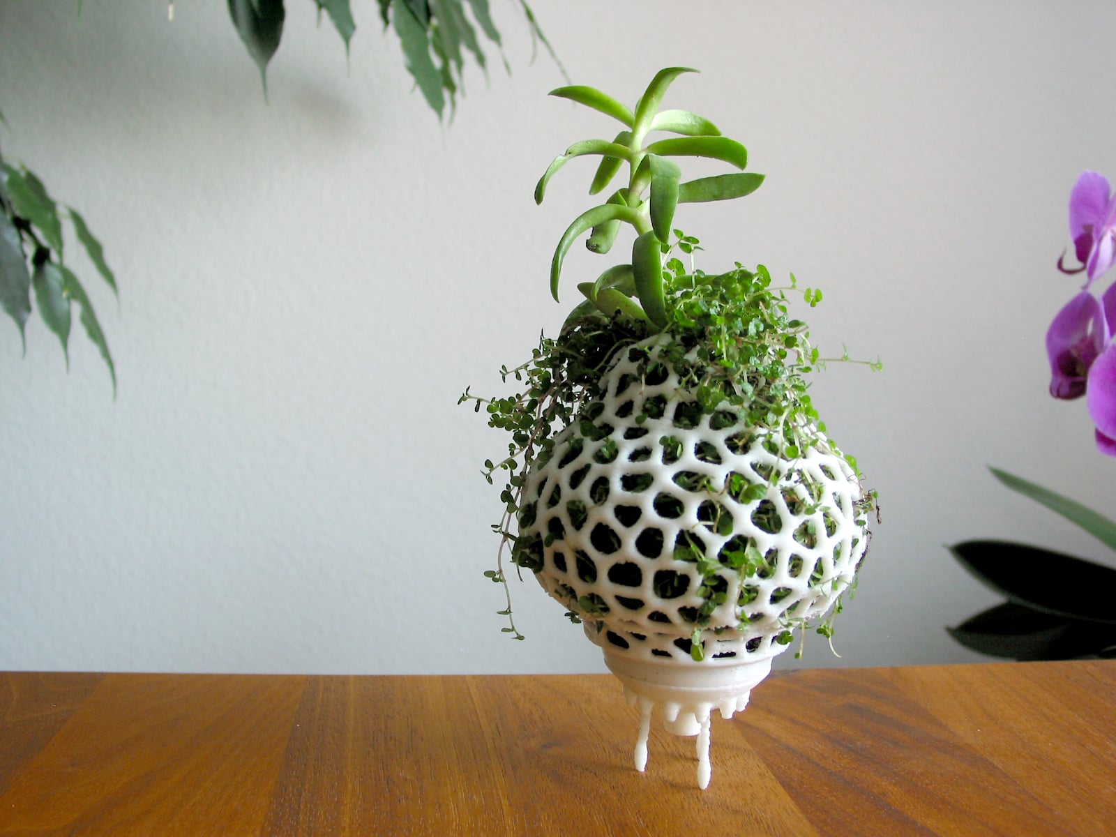 Plant Space Rocket
