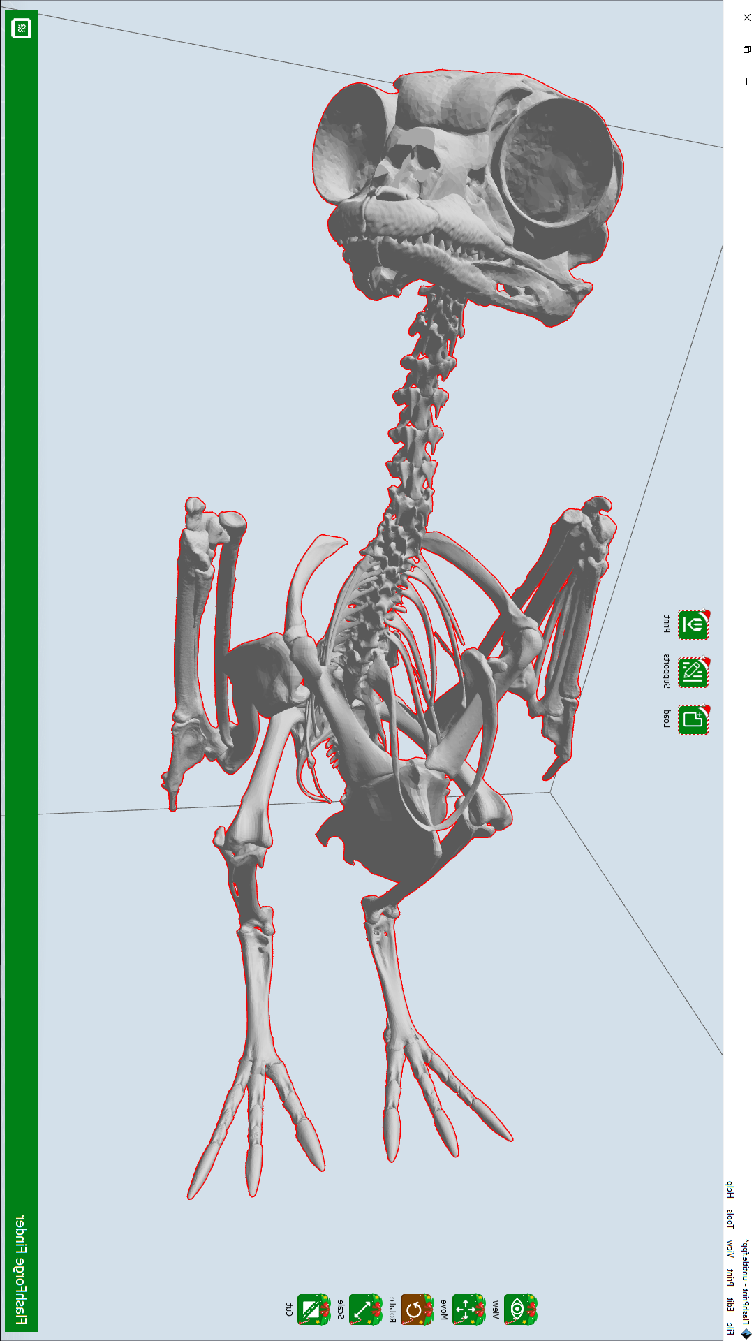 Porg Skeleton