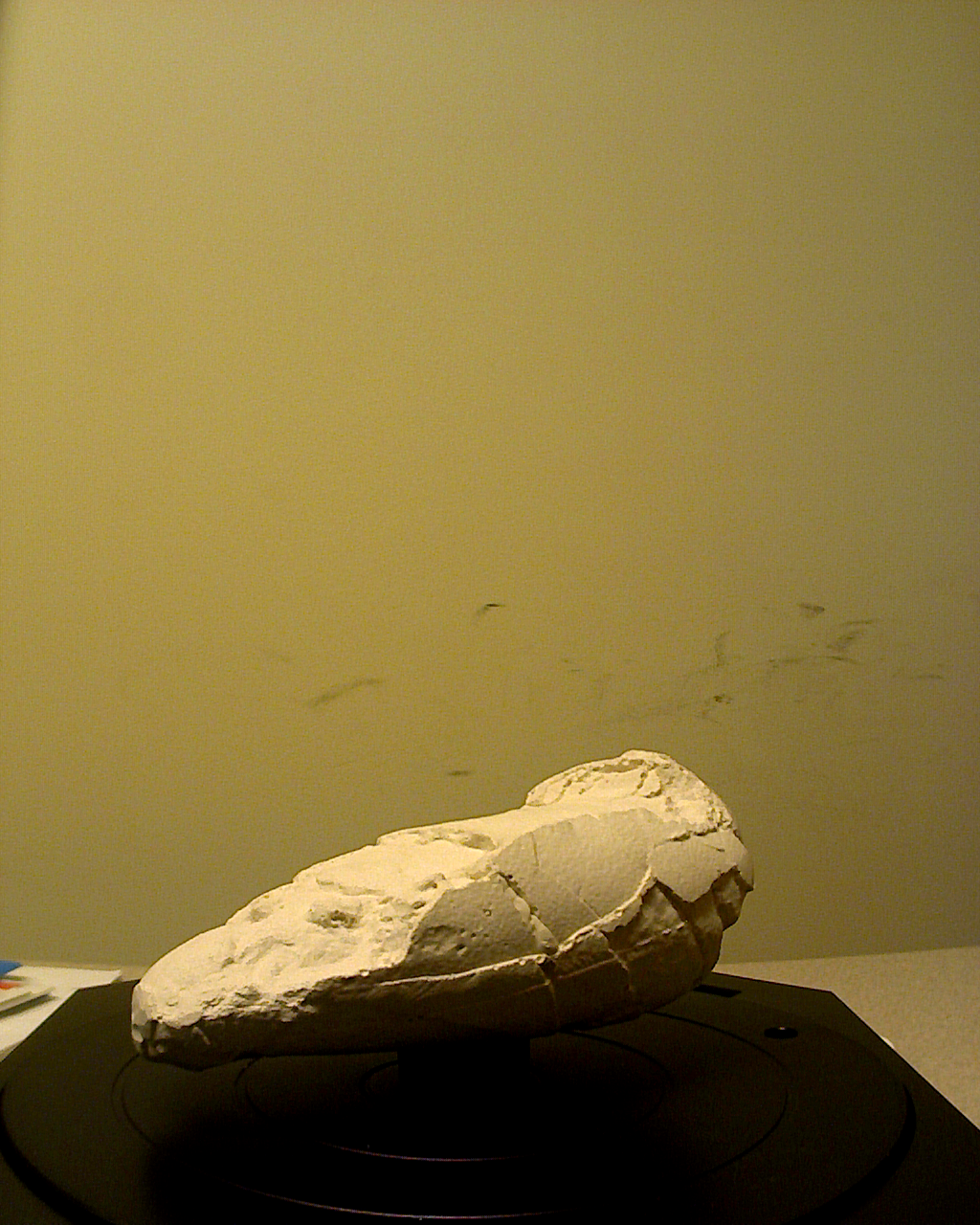 Dino Egg 2