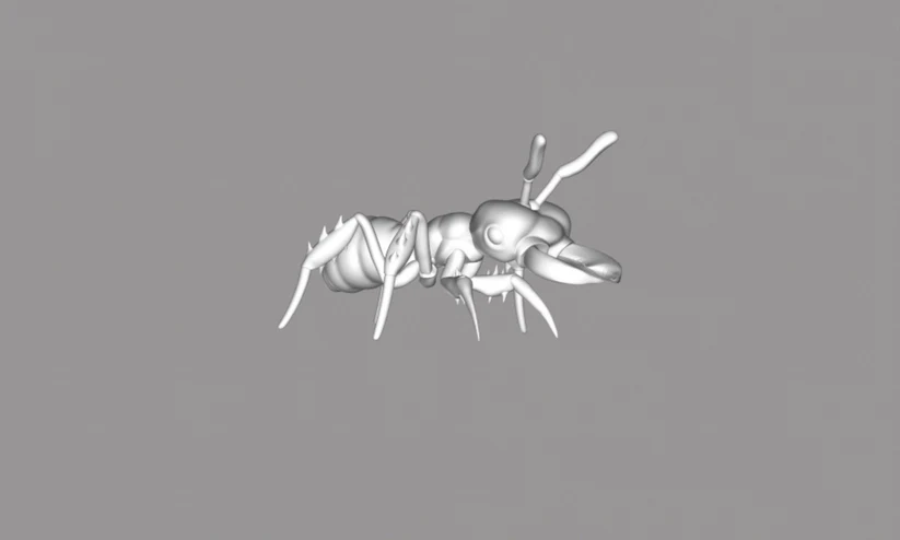 Miniatura 1 do modelo 3D Ants Mini
