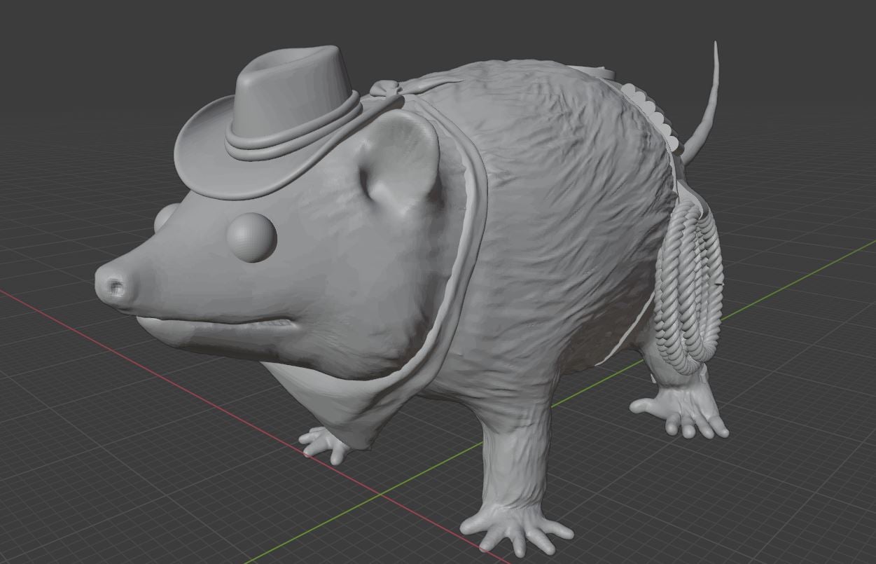 Opossum Cowboy