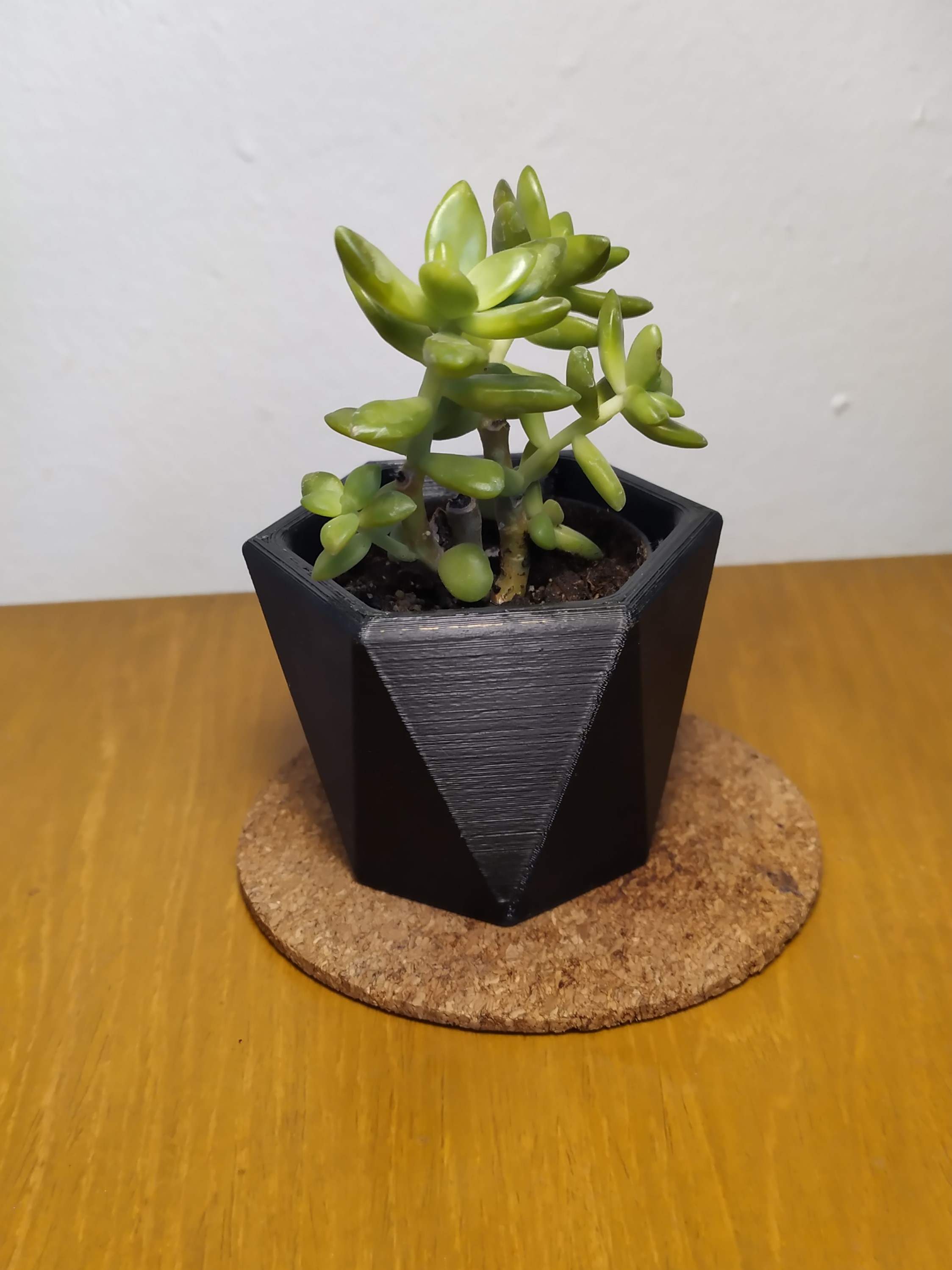 Hexagonal Succulent Planter #2