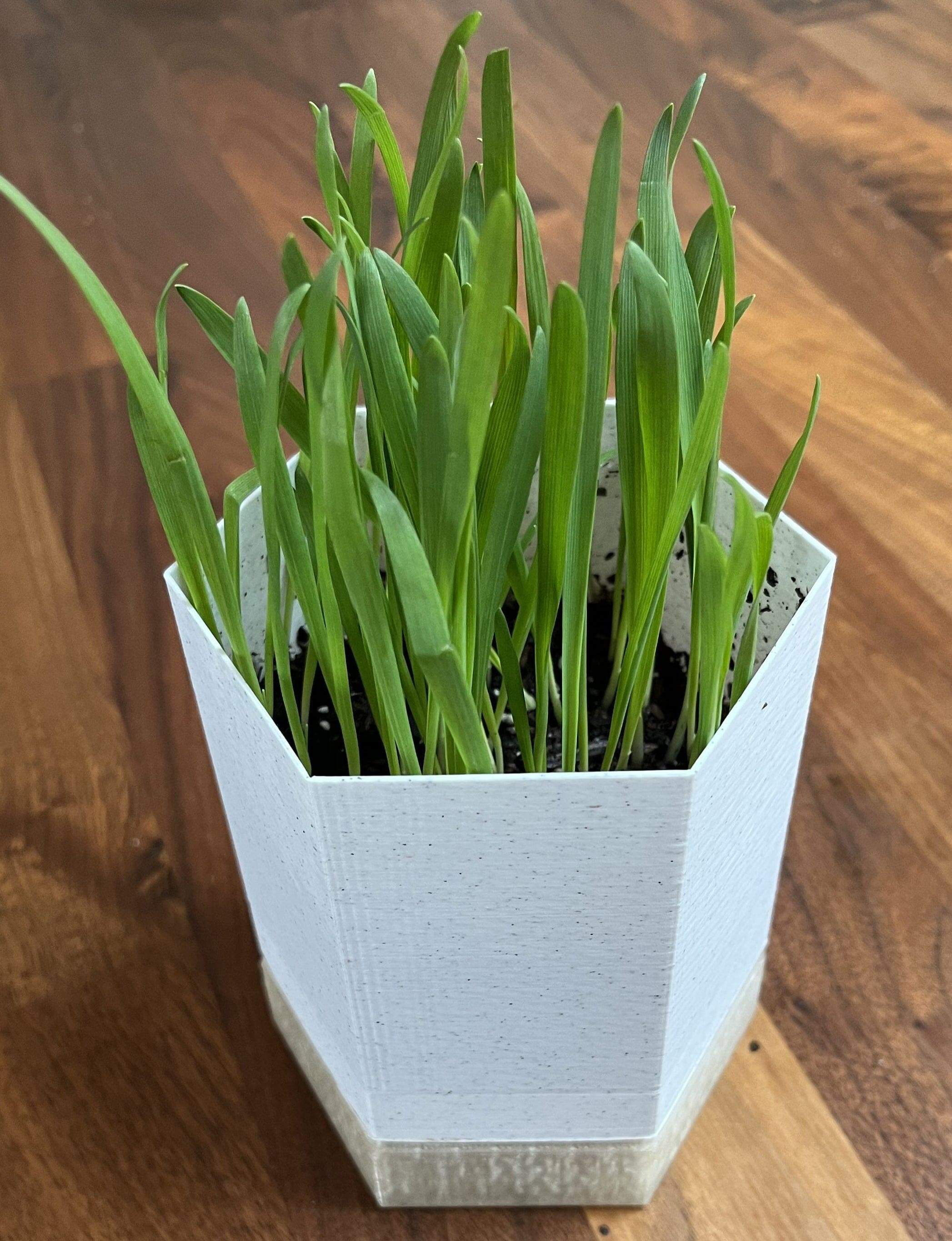 Hexagonal Self-Draining Planter