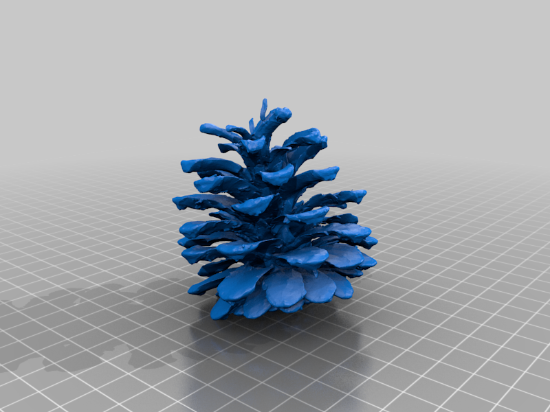 pine cone
