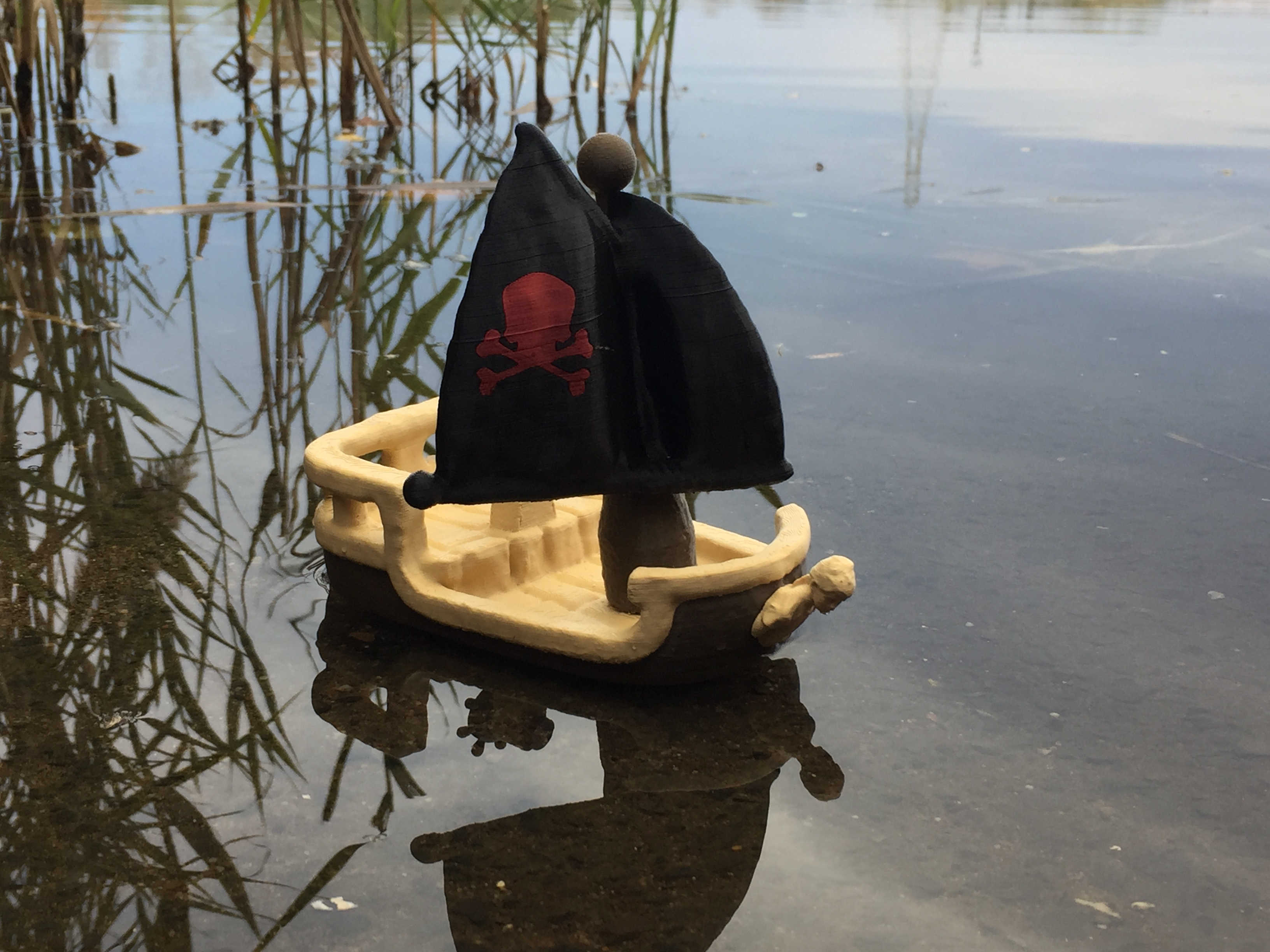 Pirate Ship
