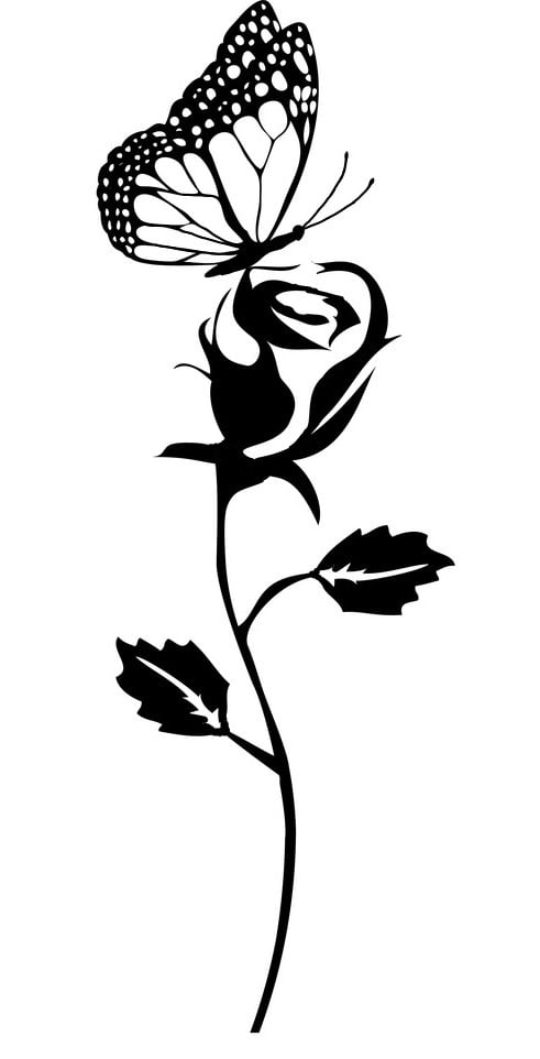 2D Butterfly on rose
