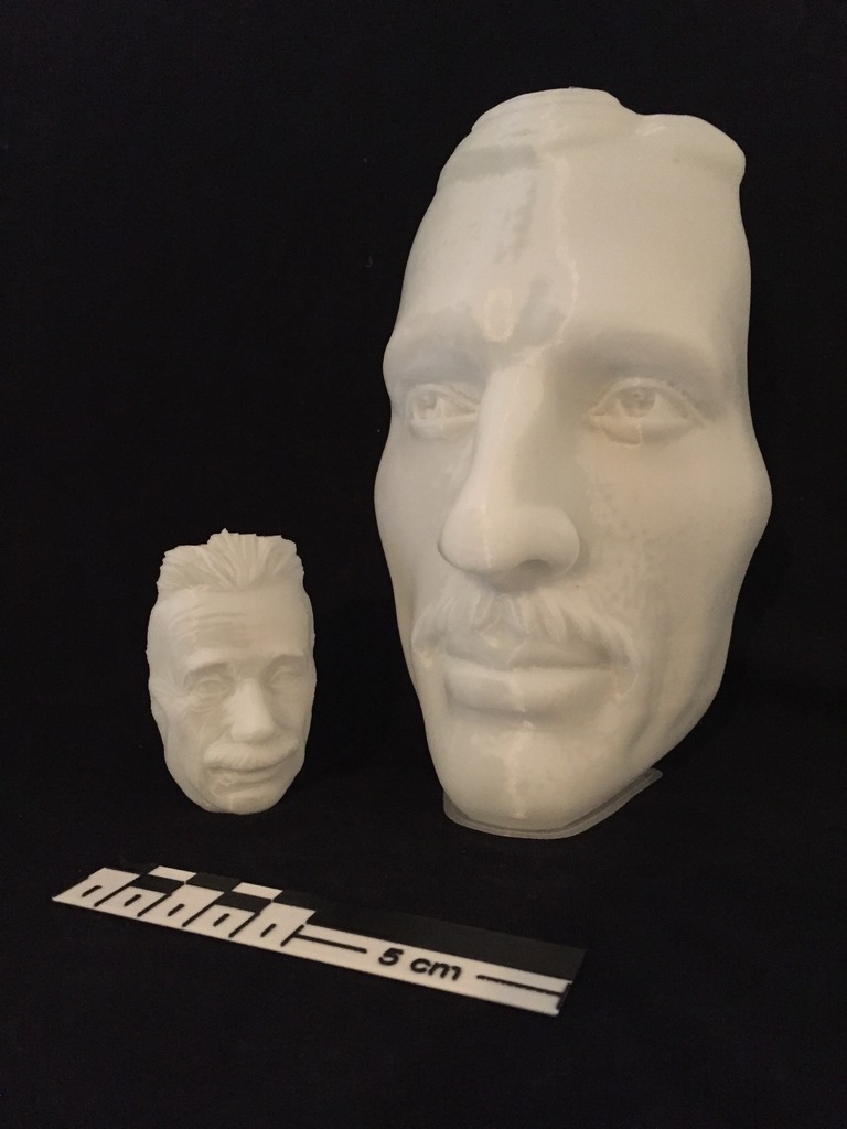 The Vase Face - Tesla / Einstein - Hollow Face Illusion
