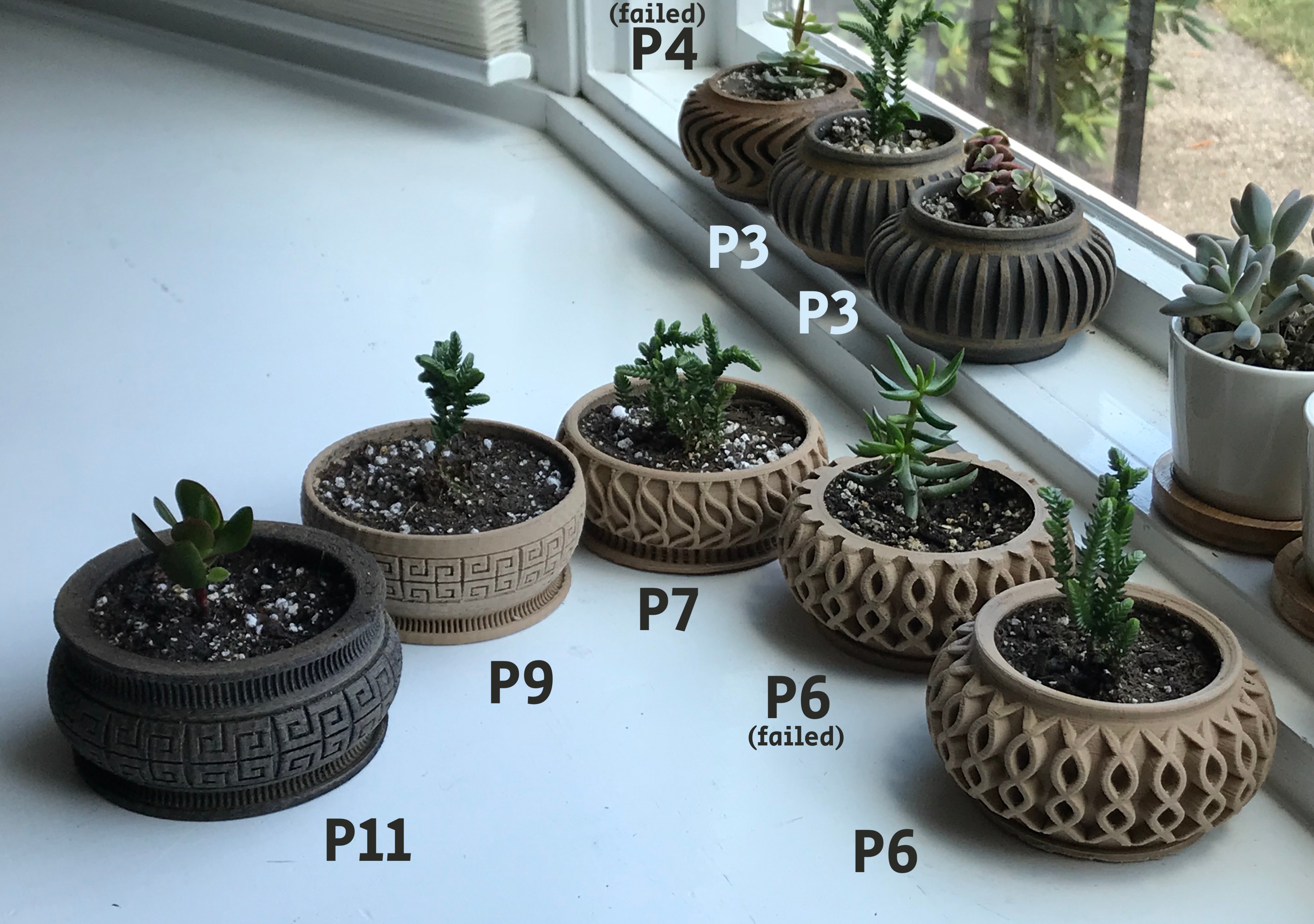 Succulent Planter 11